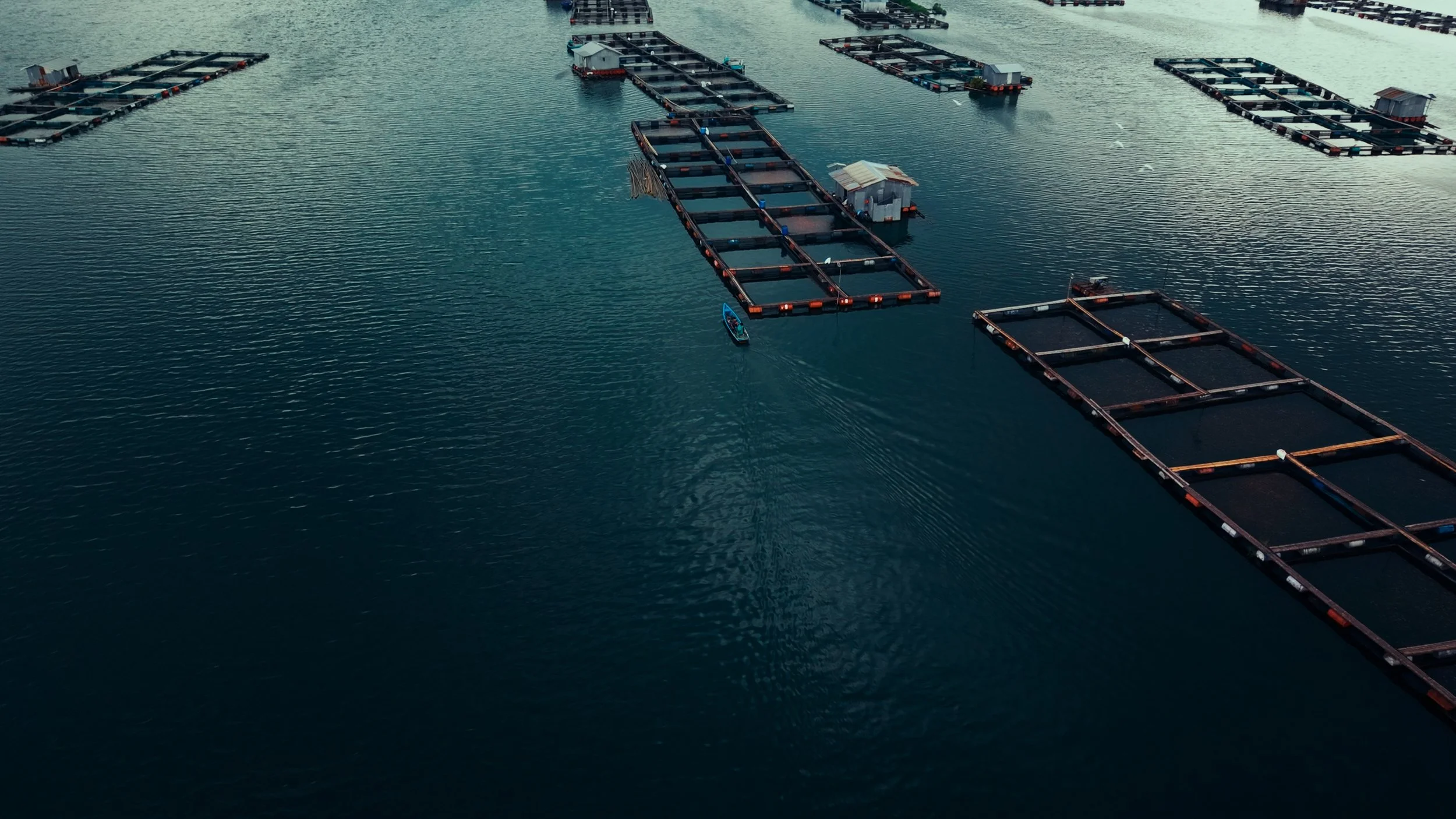 Still 2026-04-28 172015_1.61.1.jpg