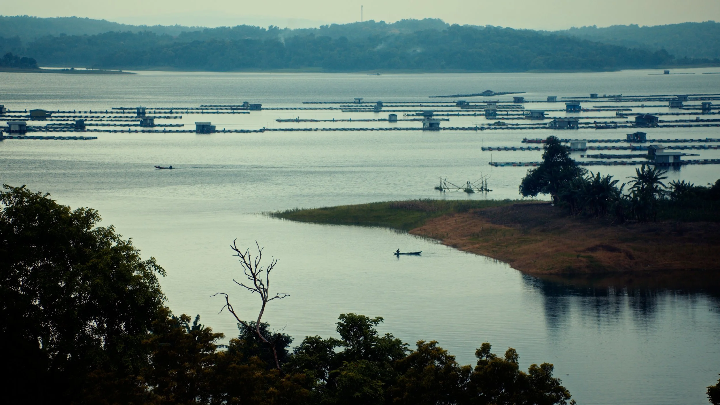 Still 2026-04-28 172001_1.56.1.jpg