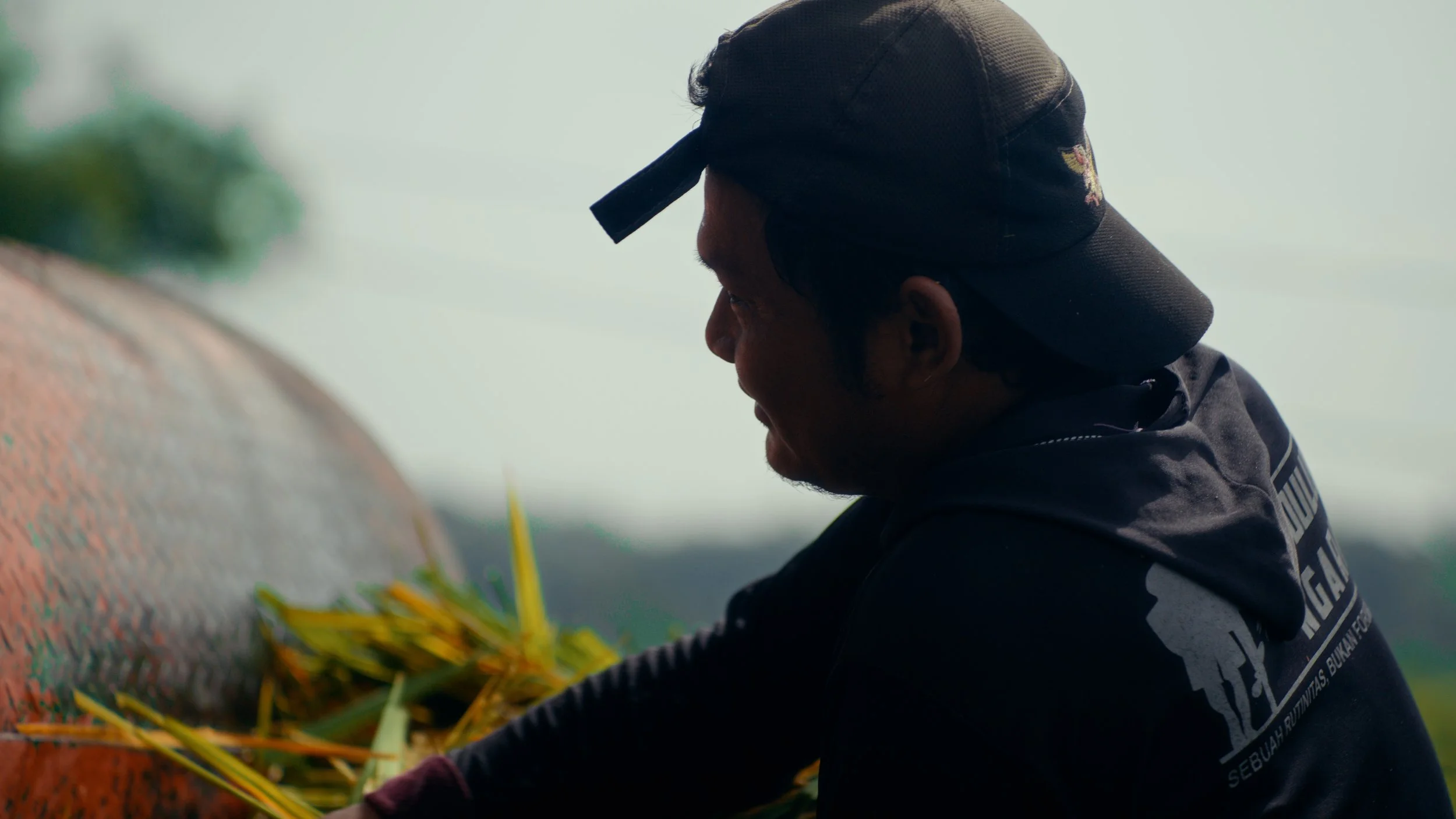 Still 2026-04-28 172553_1.42.2.jpg