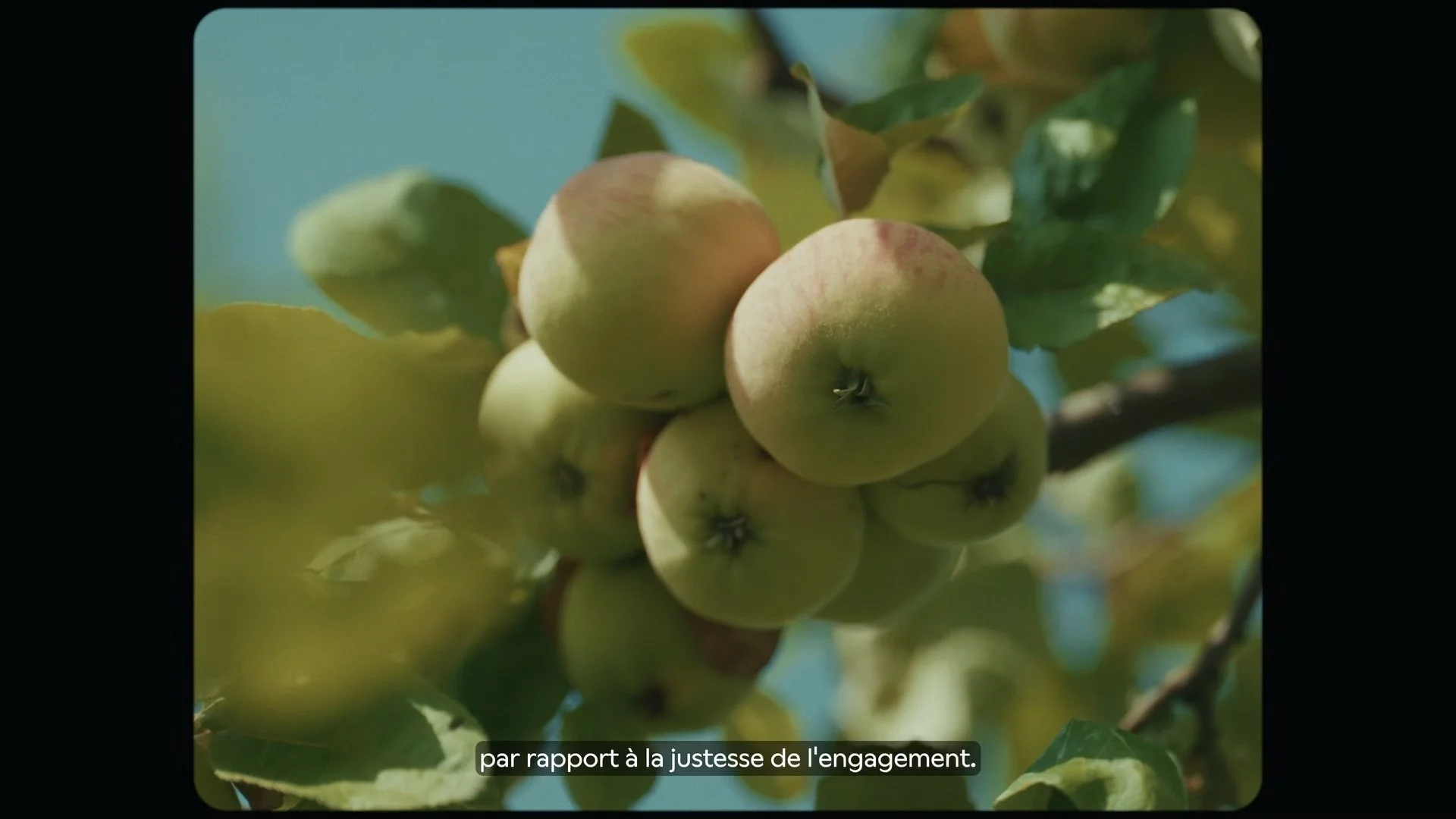 Still 2026-01-28 184049_1.5.5.jpg