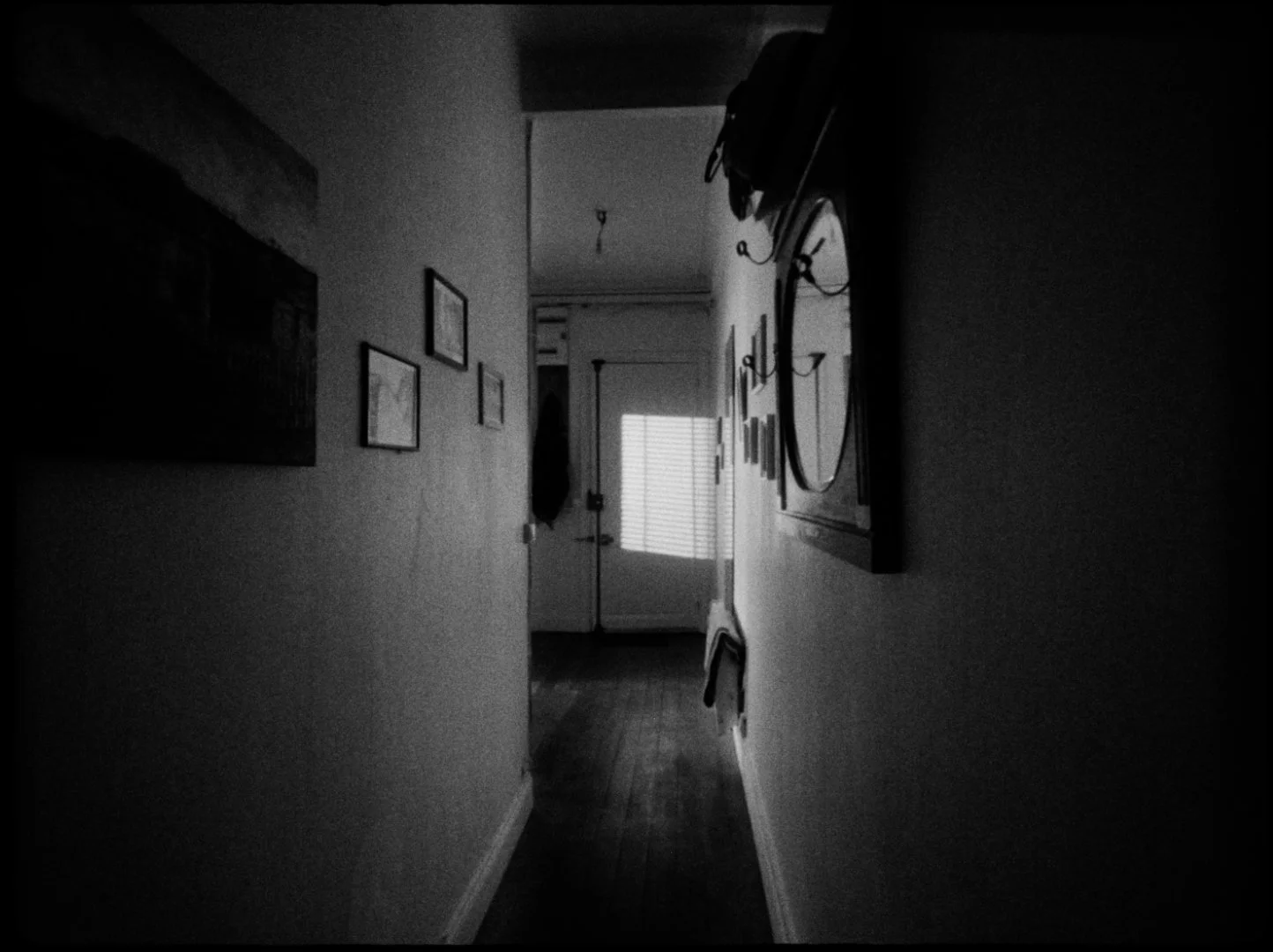 PARA_STILLS1.jpg