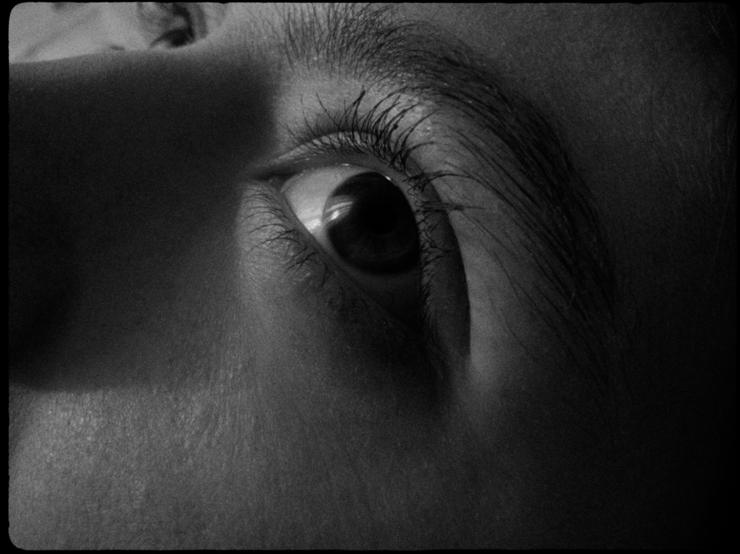 PARA_STILLS4.jpg