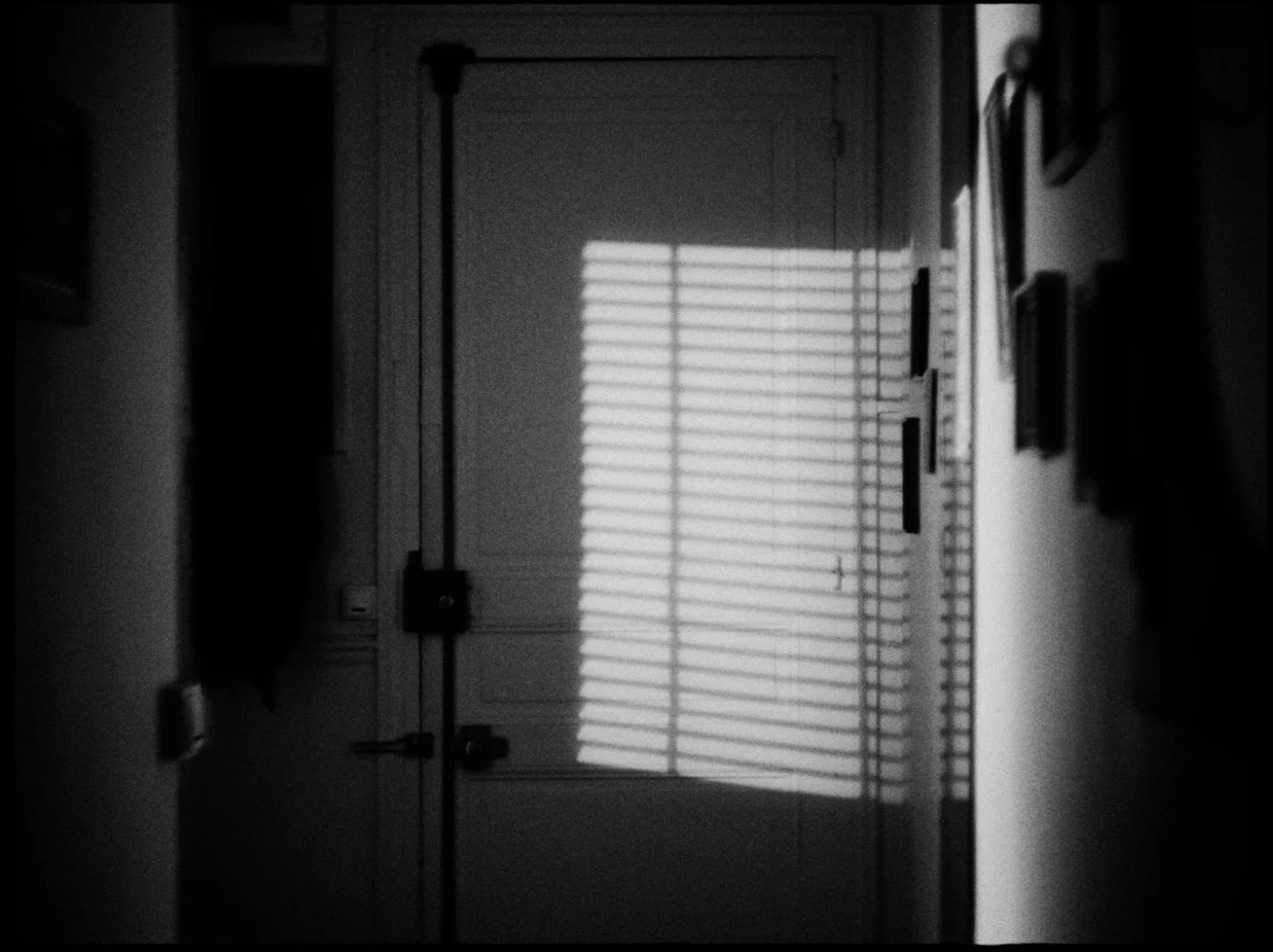 PARA_STILLS17.jpg