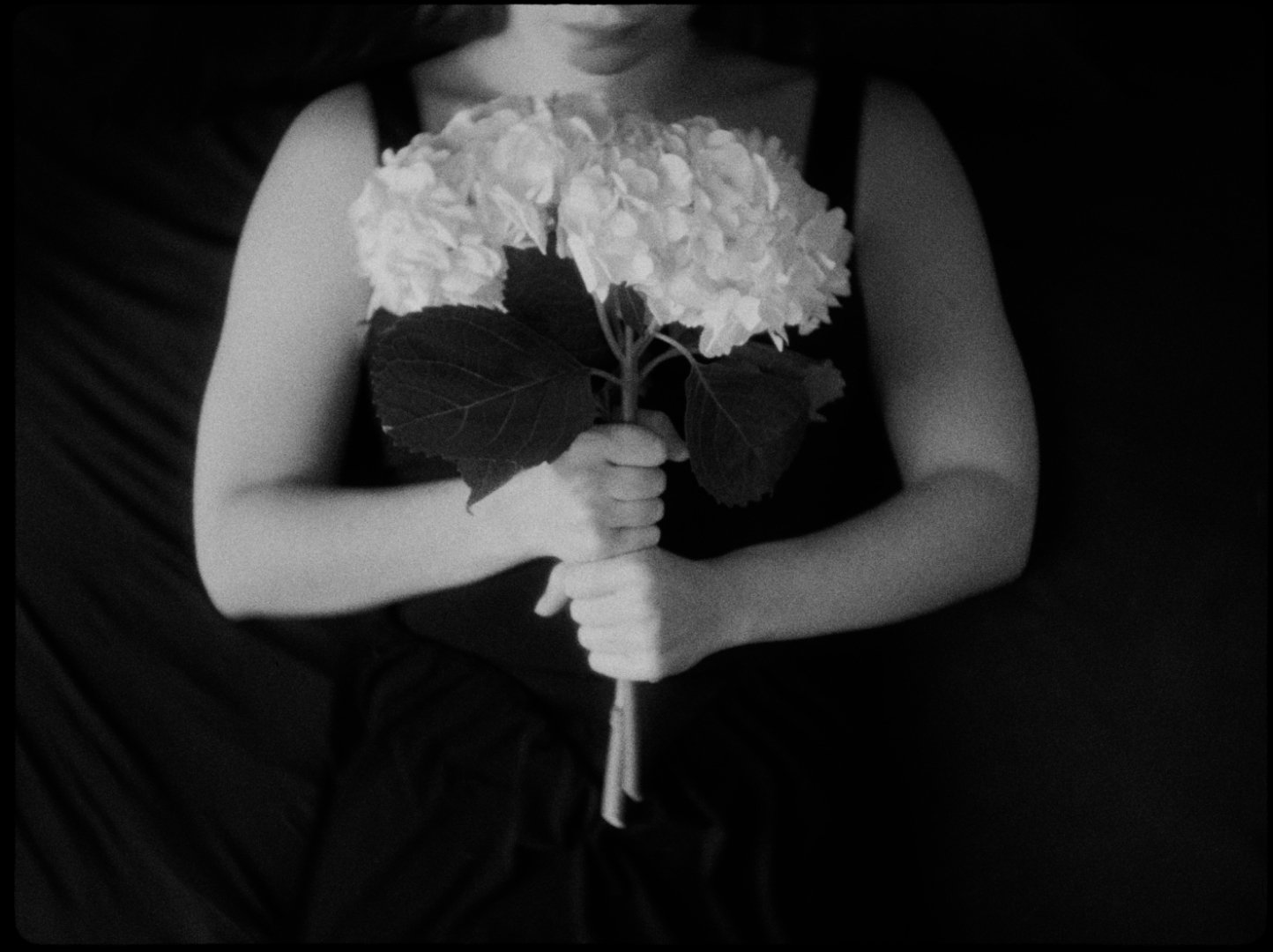 PARA_STILLS9.jpg