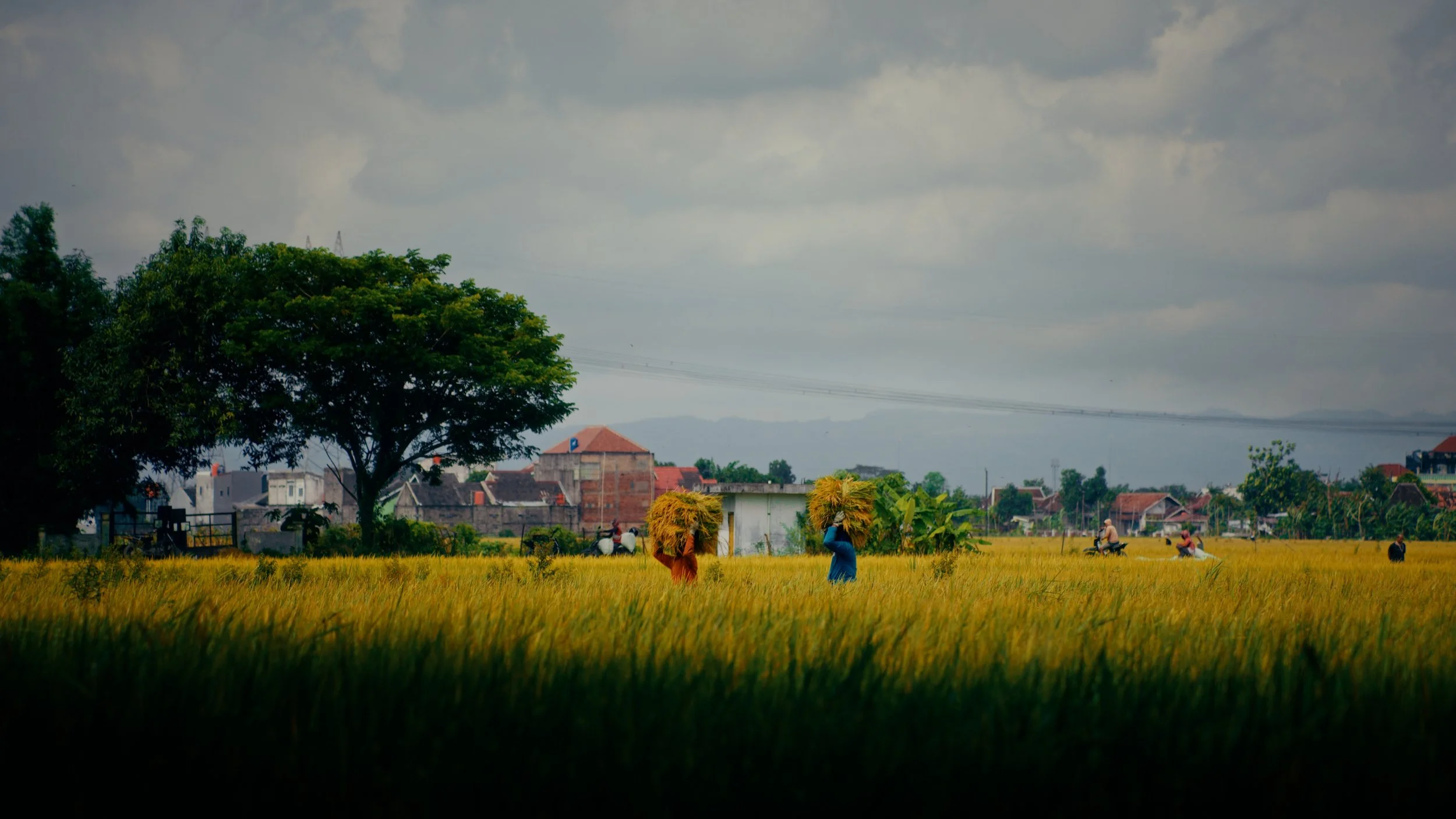 Still 2026-04-28 171835_1.51.1.jpg