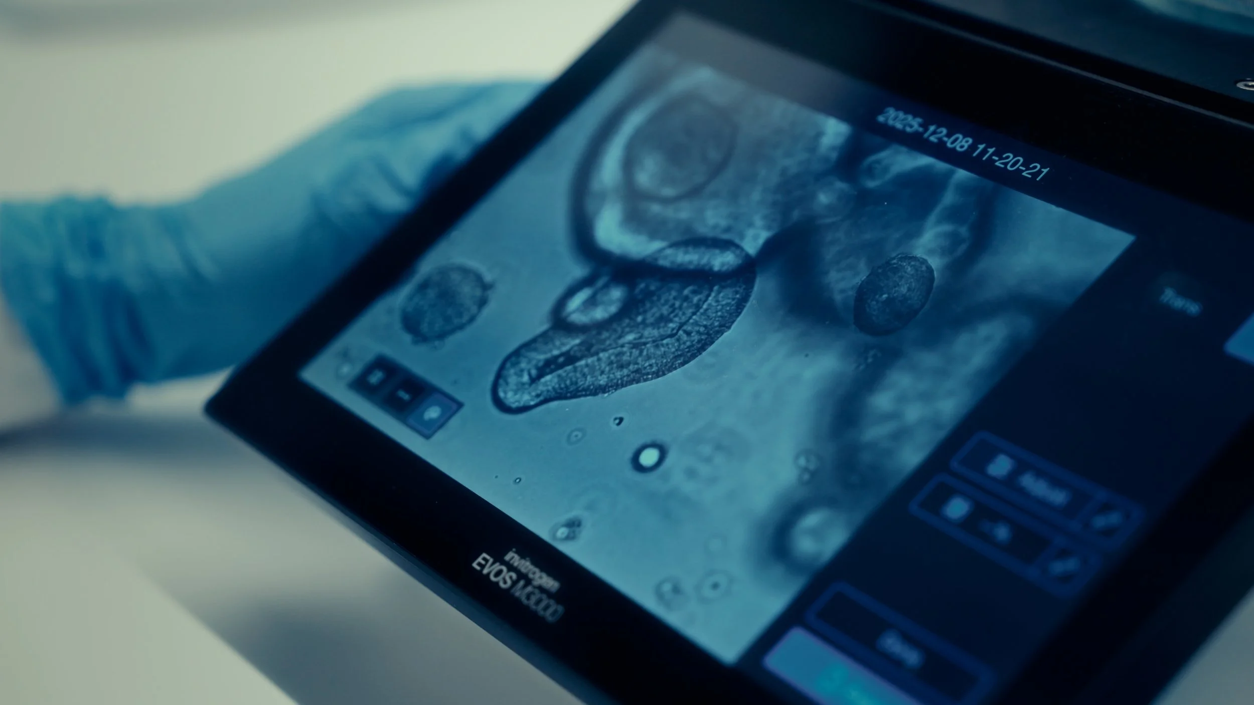 Still 2026-04-28 175057_3.26.1.jpg