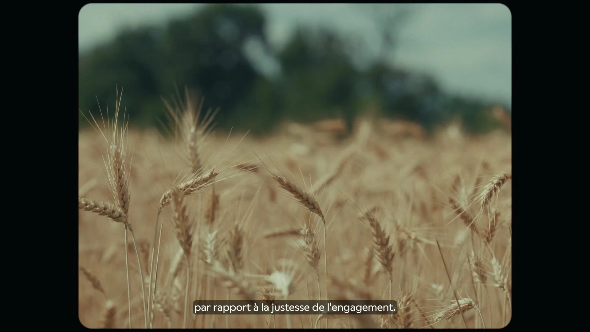 Still 2026-01-28 184049_1.5.6.jpg