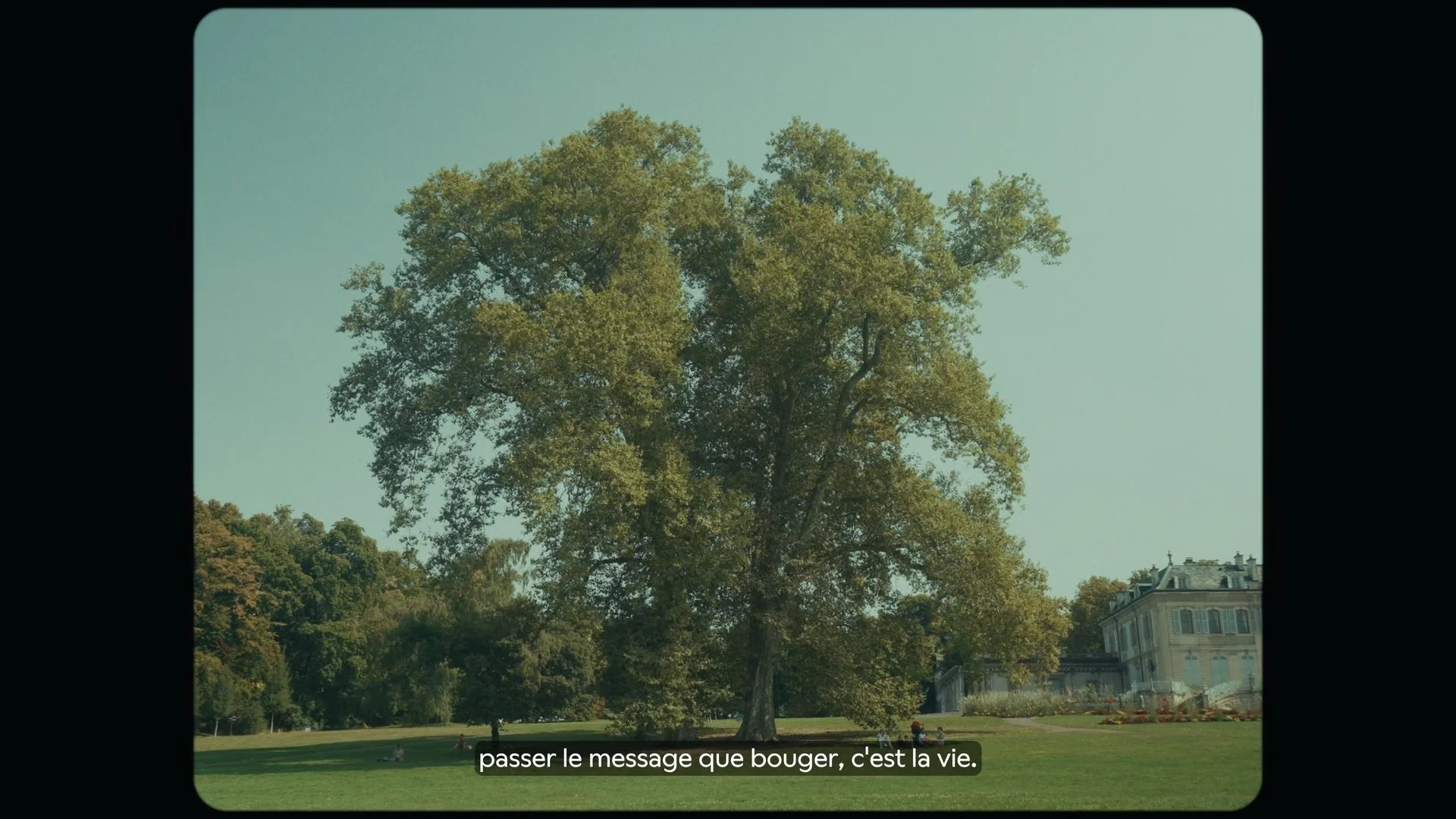 Still 2026-01-28 184049_1.2.8.jpg