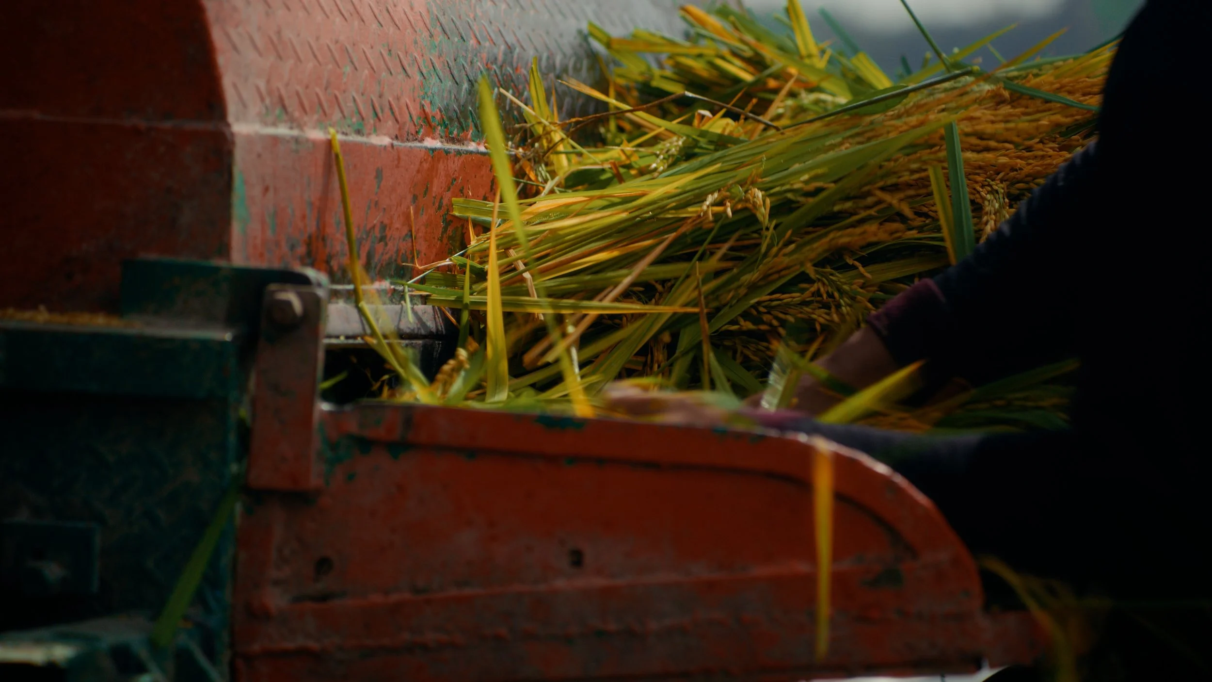 Still 2026-04-28 172506_1.42.1.jpg