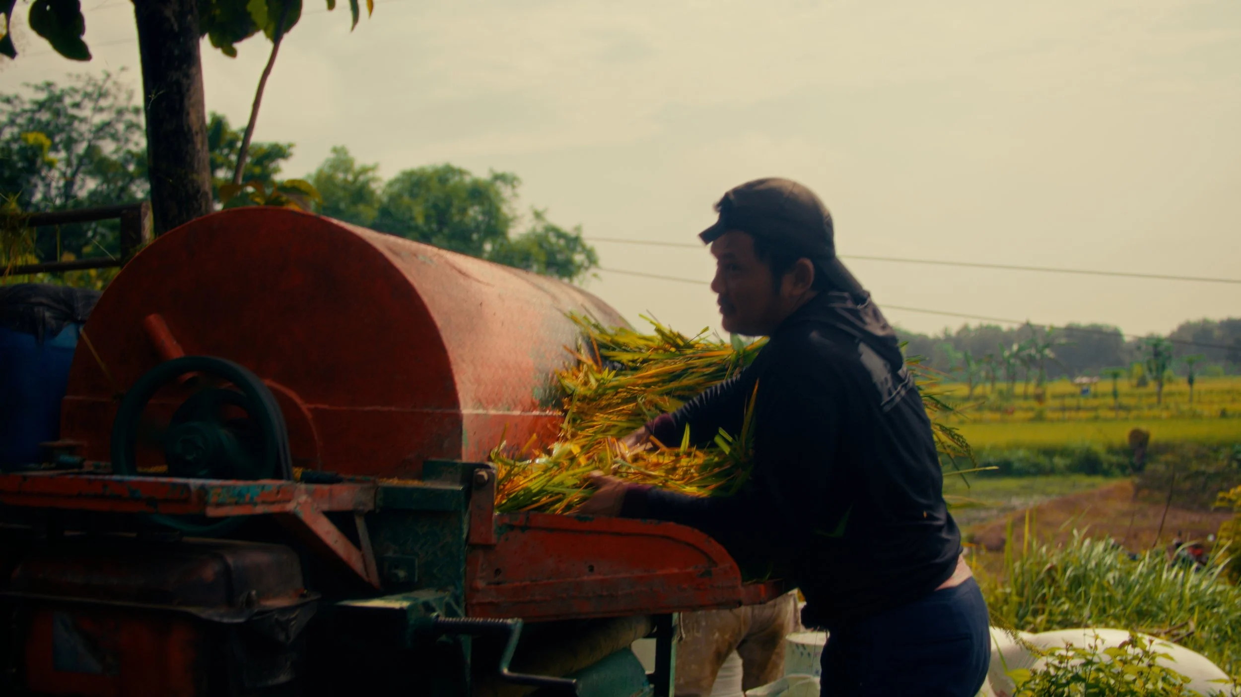 Still 2026-04-28 172512_1.41.1.jpg