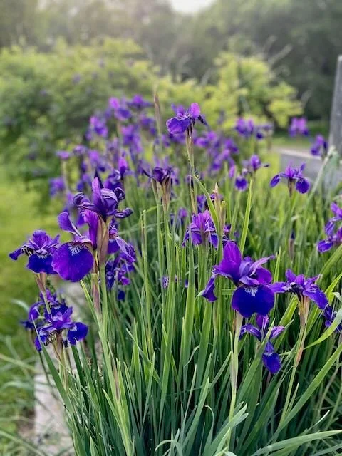 Crystalizing context