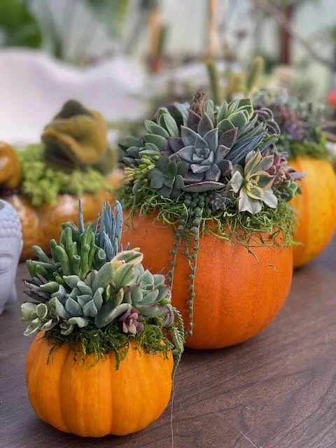 Getting Back In The Game