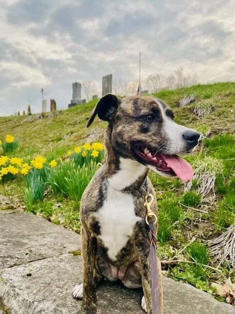 Childlike, Not Childish