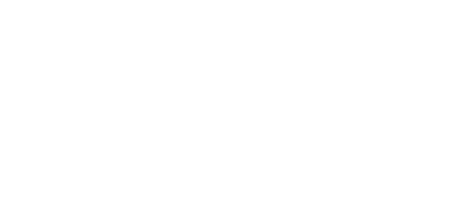 SALTE logo hvit sammarbeidspartner av Adrenalin treningssenter