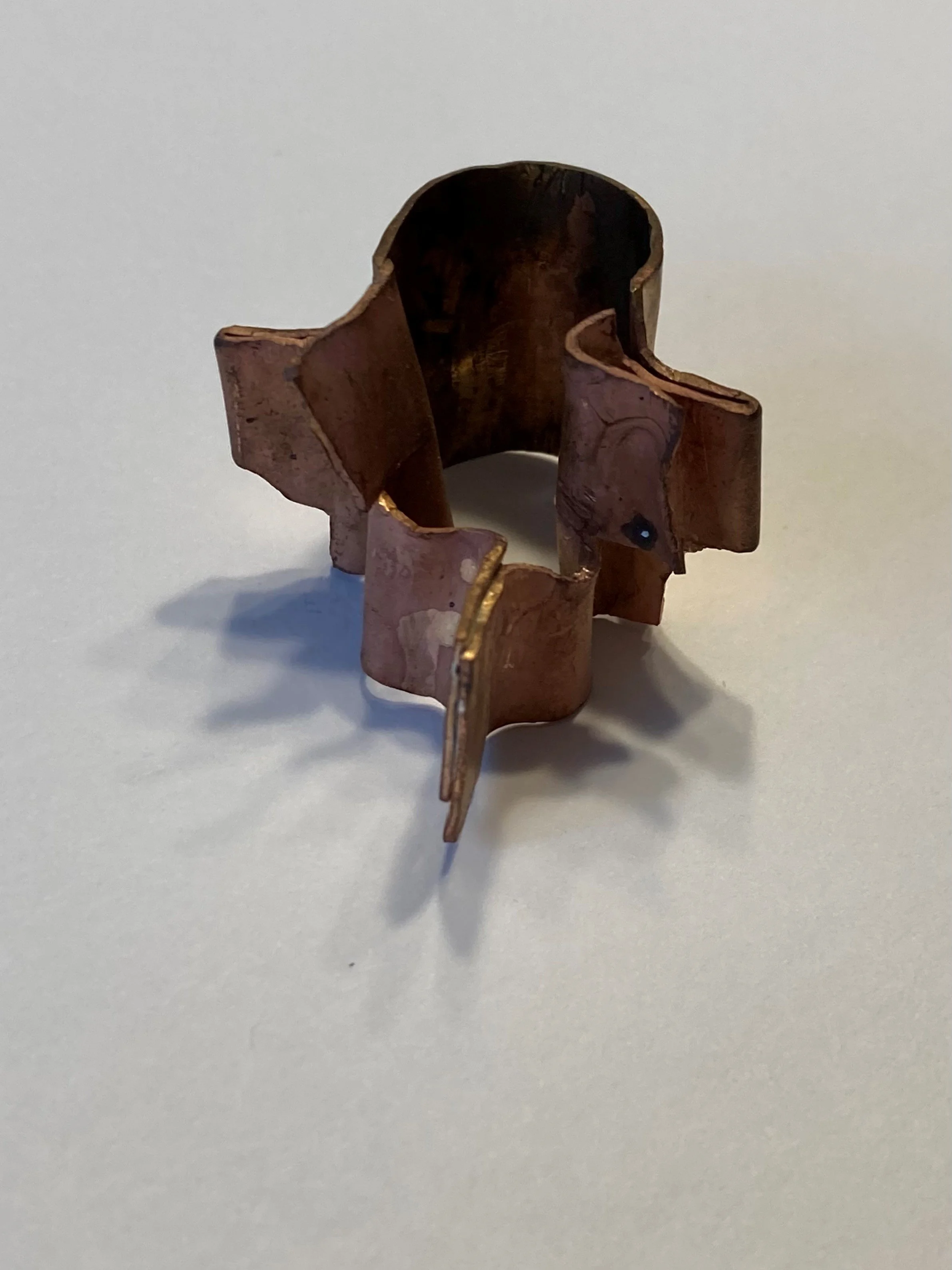 MortalityVertebrae.jpg