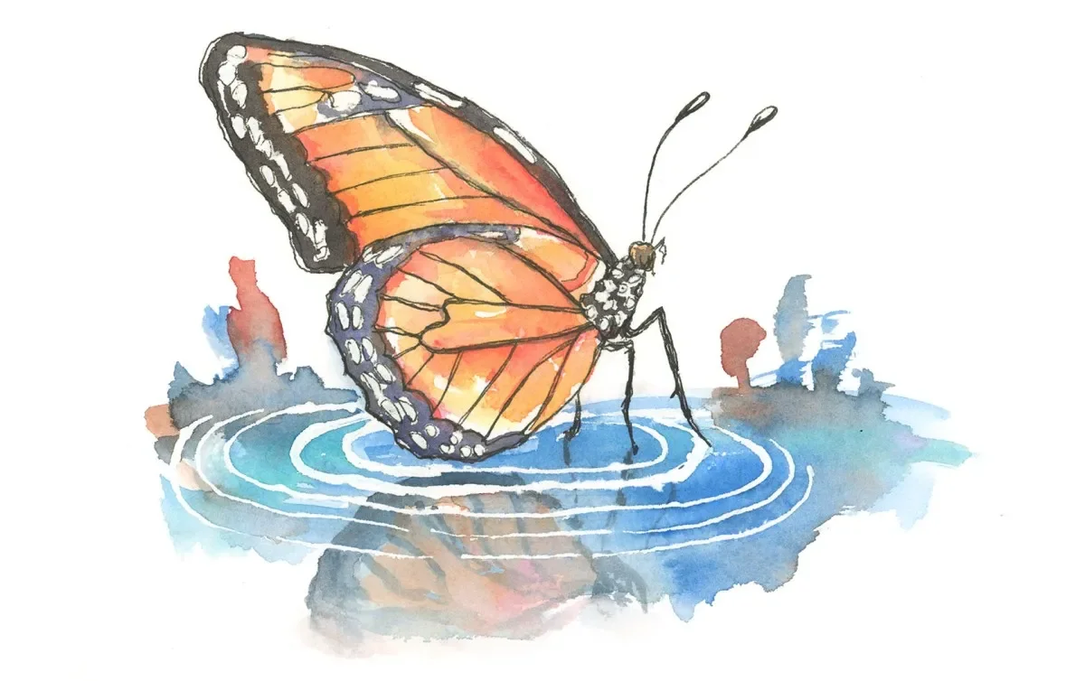 The Butterfly Effect