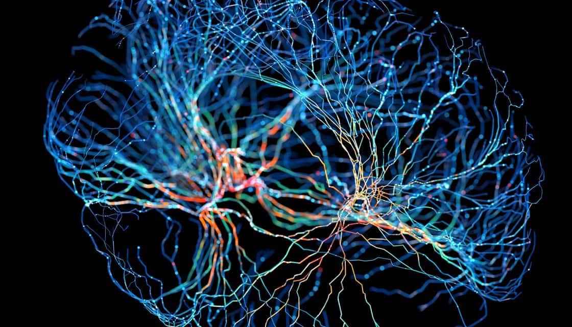Maladaptive vs Adaptive Neuroplasticity