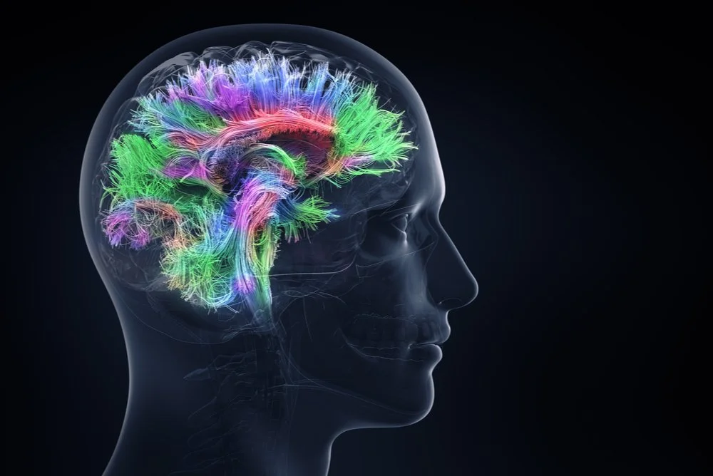 Functional Neurological Disorder Through the Lens of Population Neuroscience