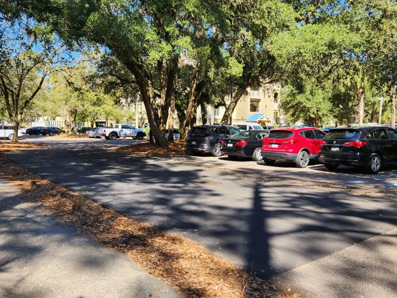 Lot Information — Hilton Head Island