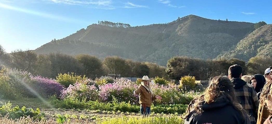 garden.jpg
