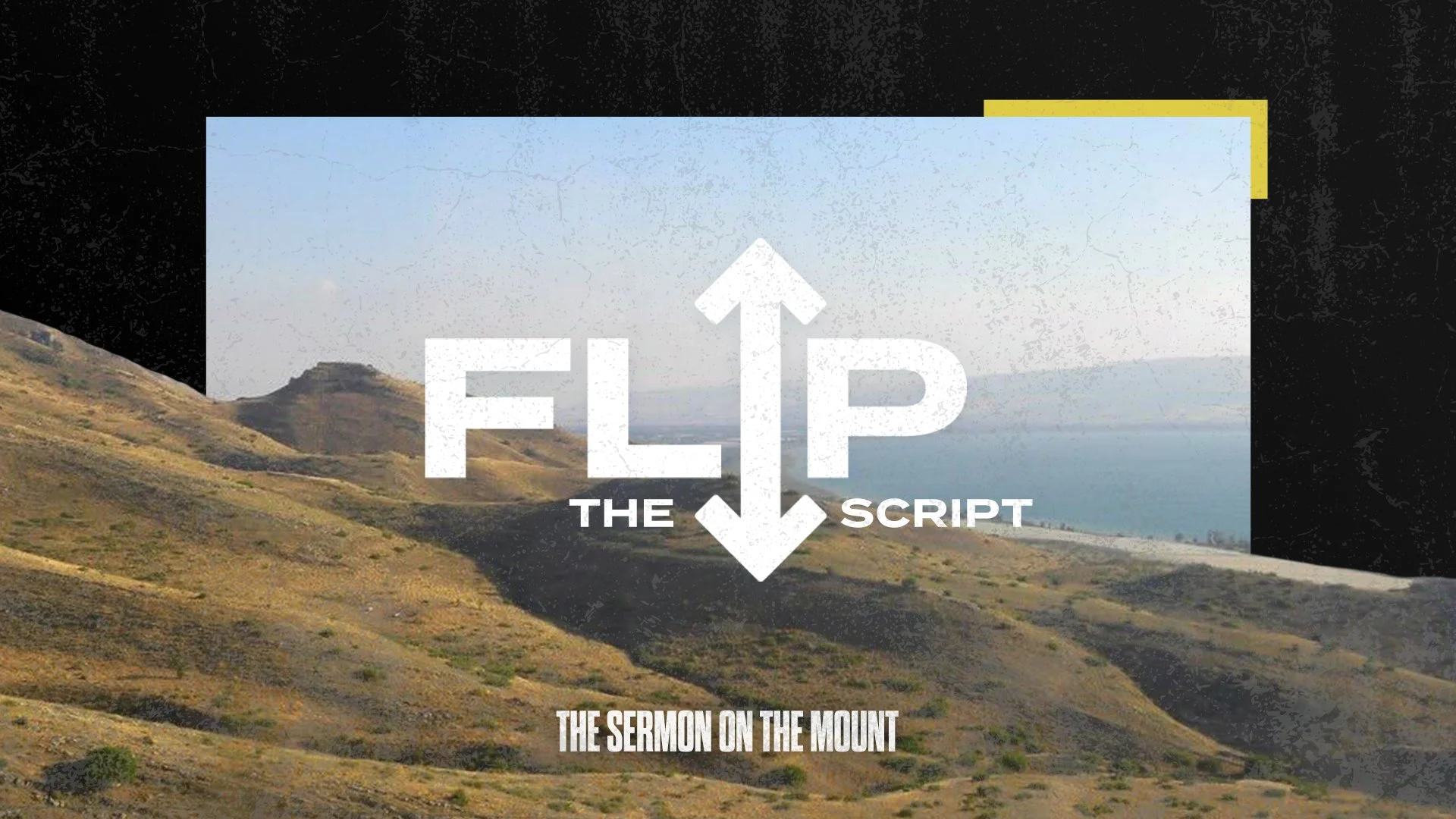 Flip The Script