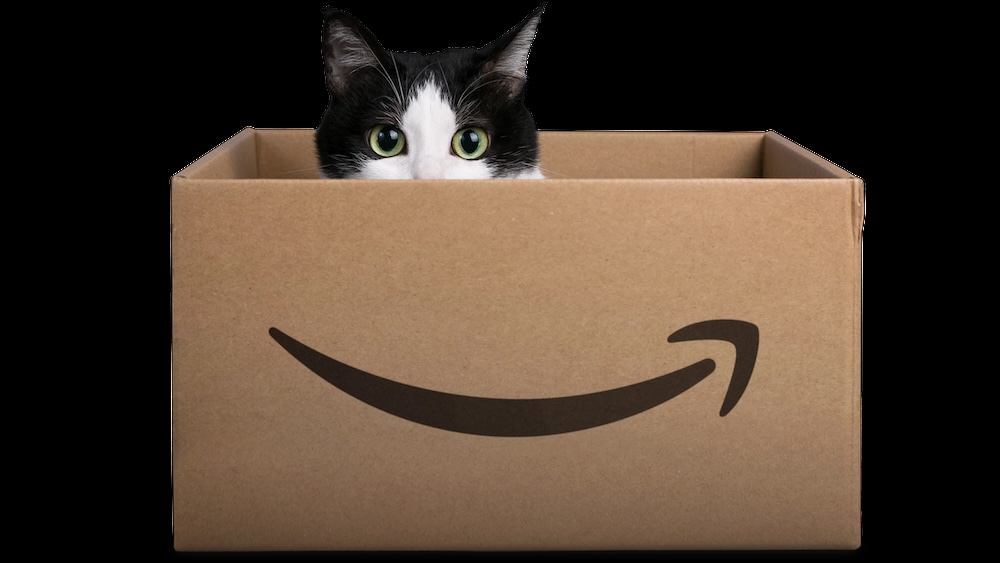 Are You The Cat In The Box?