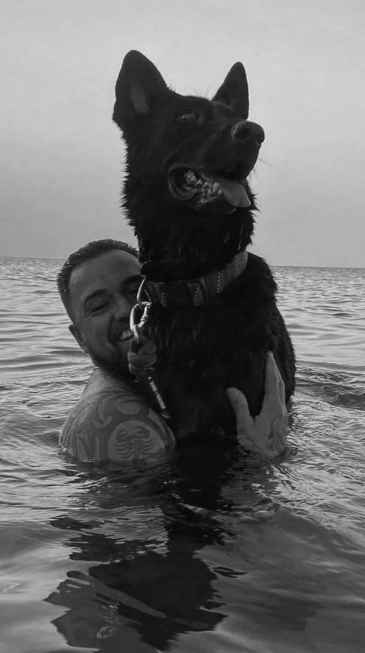 A man with tattoos on his arm holding a black dog with a colorful collar in the water at sunset, with the ocean and sky in the background.