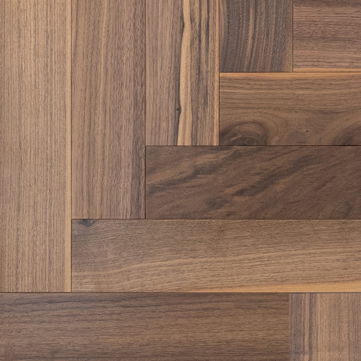 V4 ZB205 Black Walnut from the Floor Collection