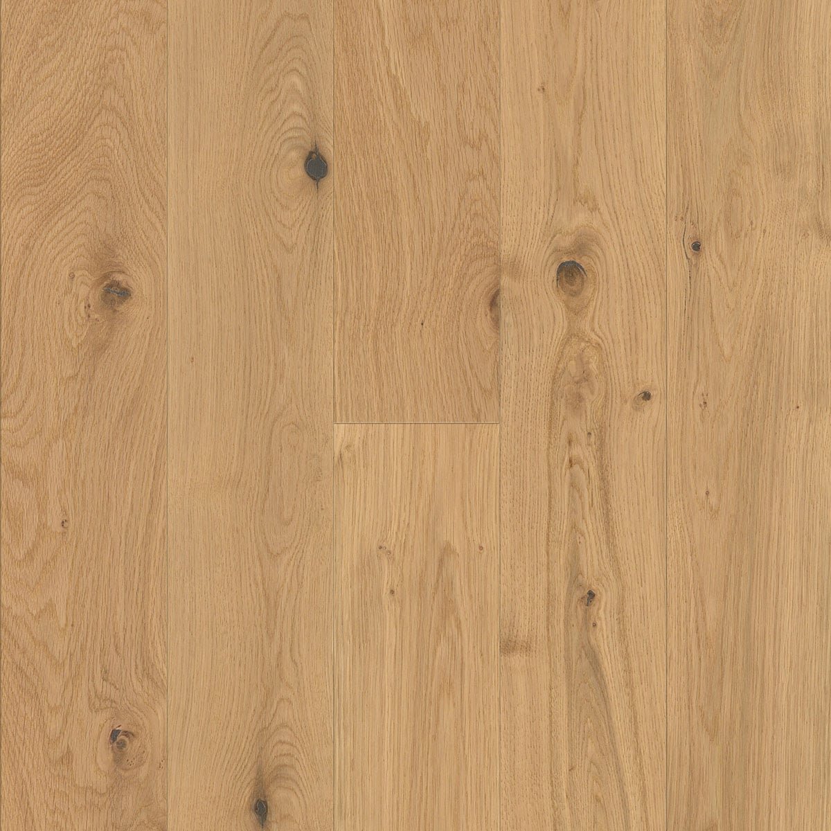 V4 A103 Brushed Oak | The Floor Collection