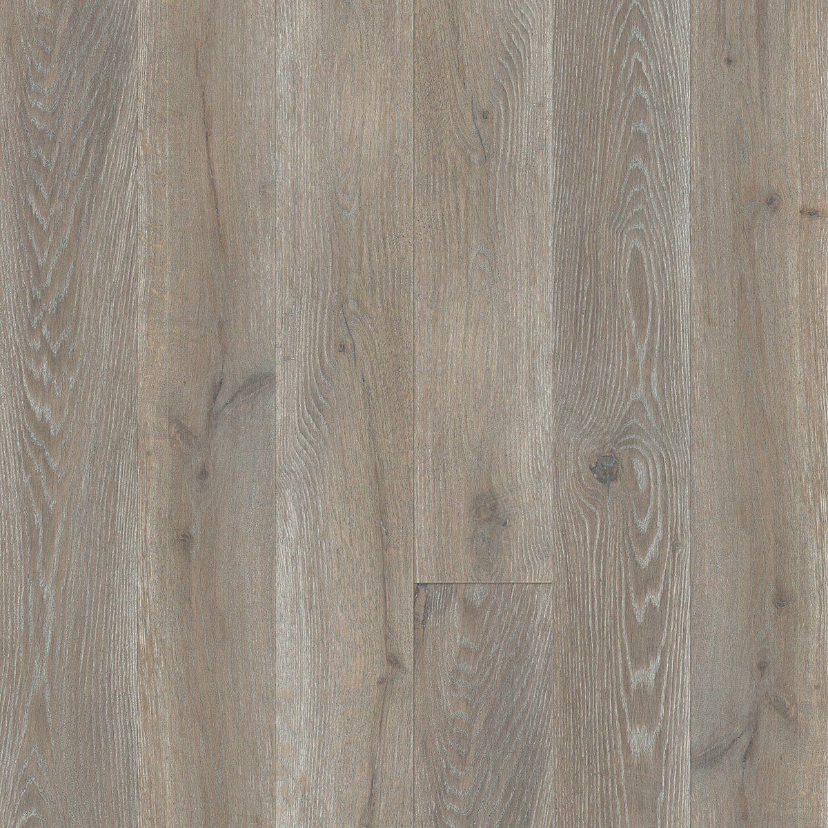 V4 DC105 Silver Haze from The Floor Collection