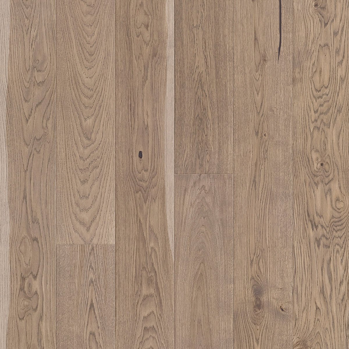 V4 AL107 Pebble Grey Oak from The Floor Collection