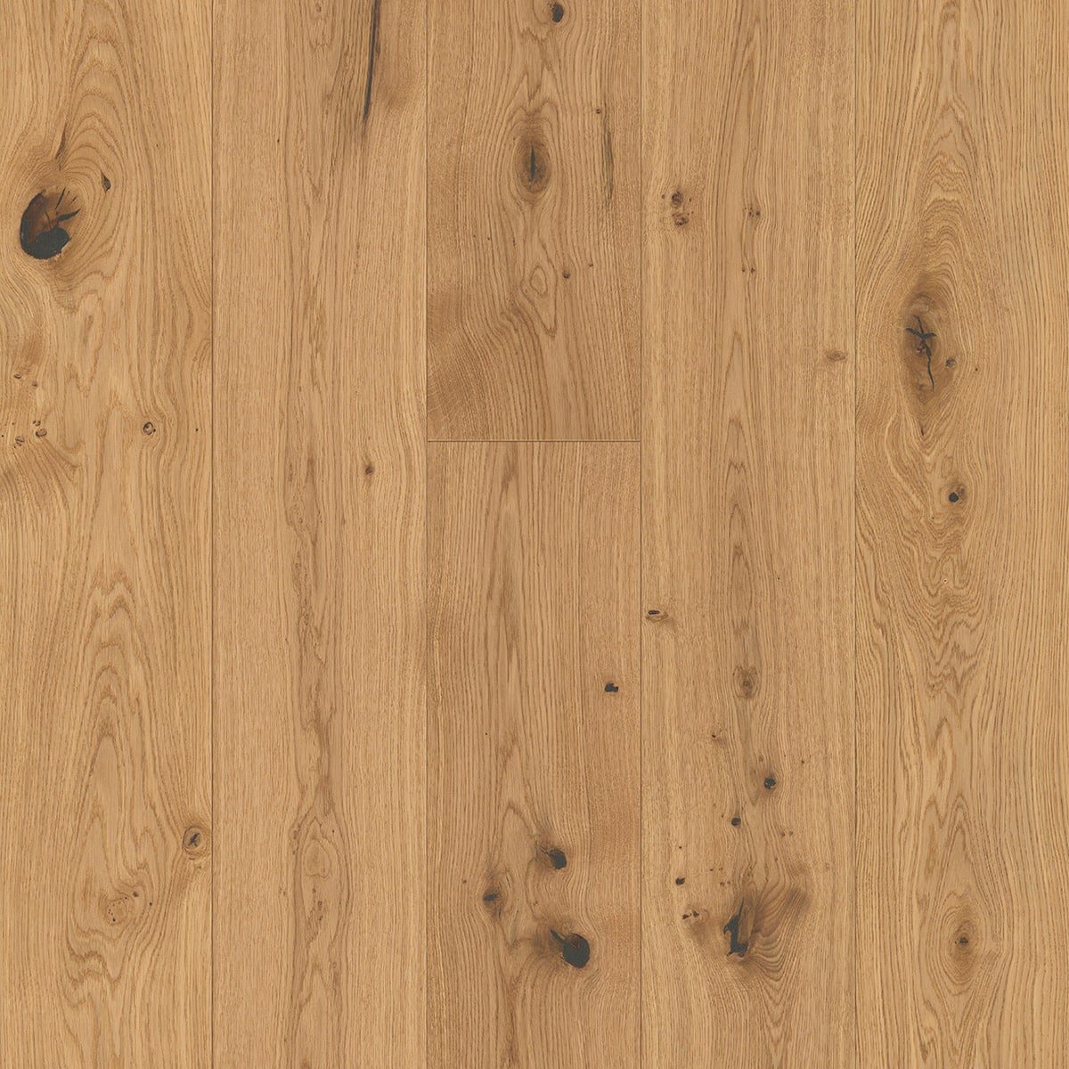 V4 AL101 Brushed Oak from The Floor Collection