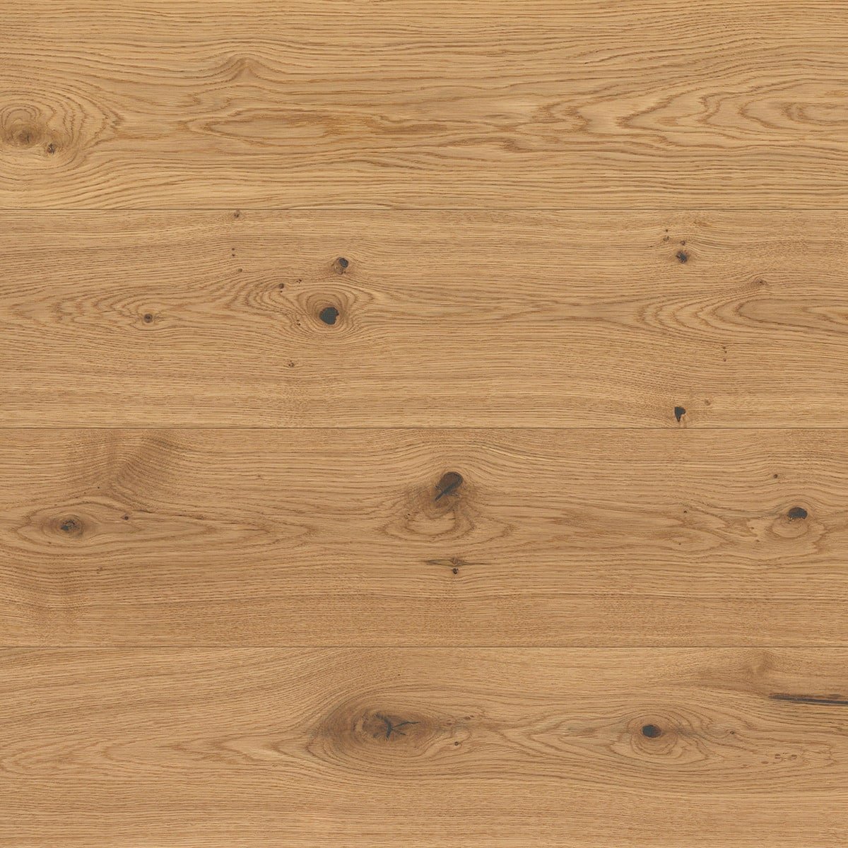 V4 AL101 Brushed Oak from The Floor Collection