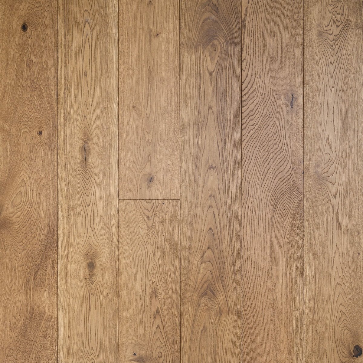 V4 HG111 Toridan from The Floor Collection