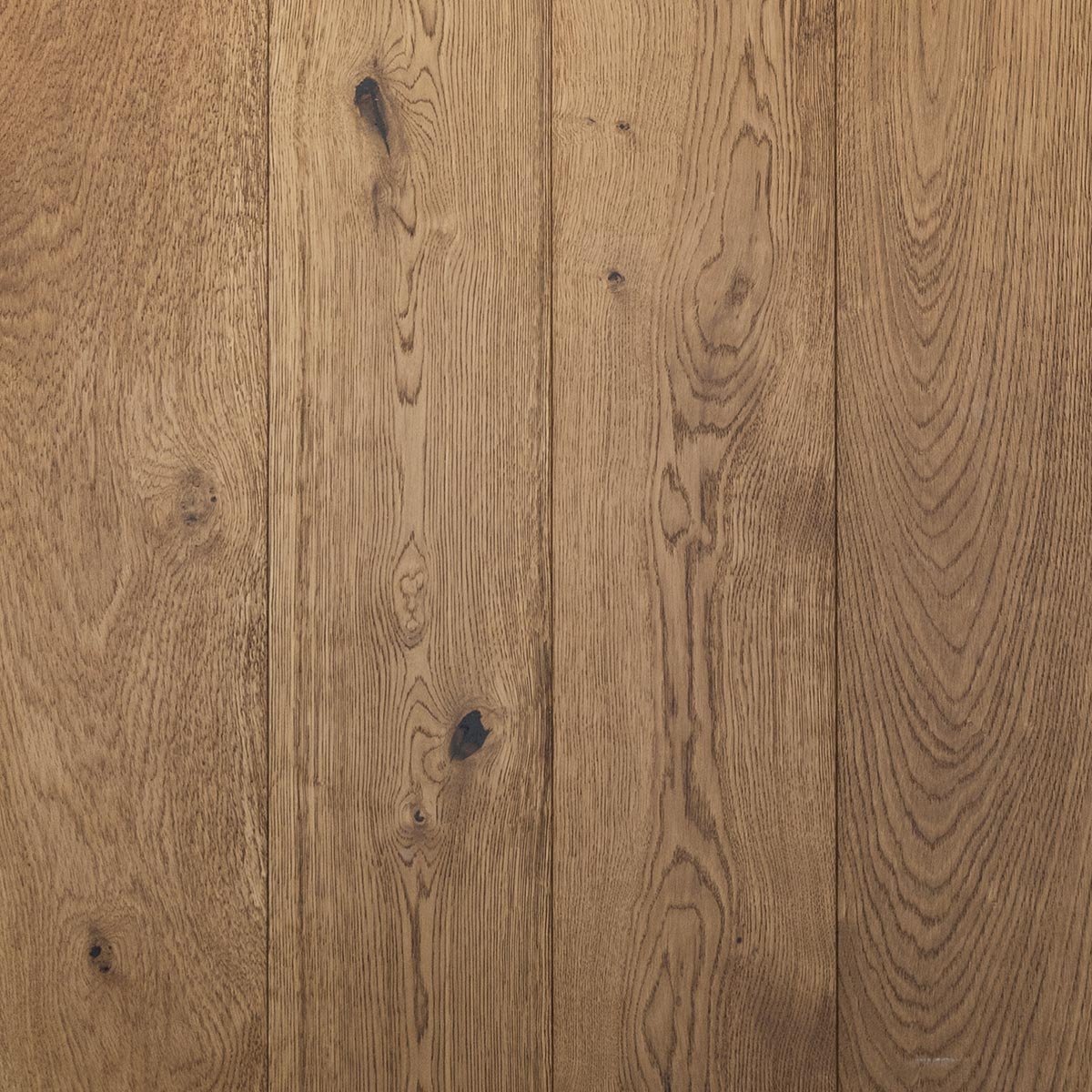 V4 HG111 Toridan from The Floor Collection