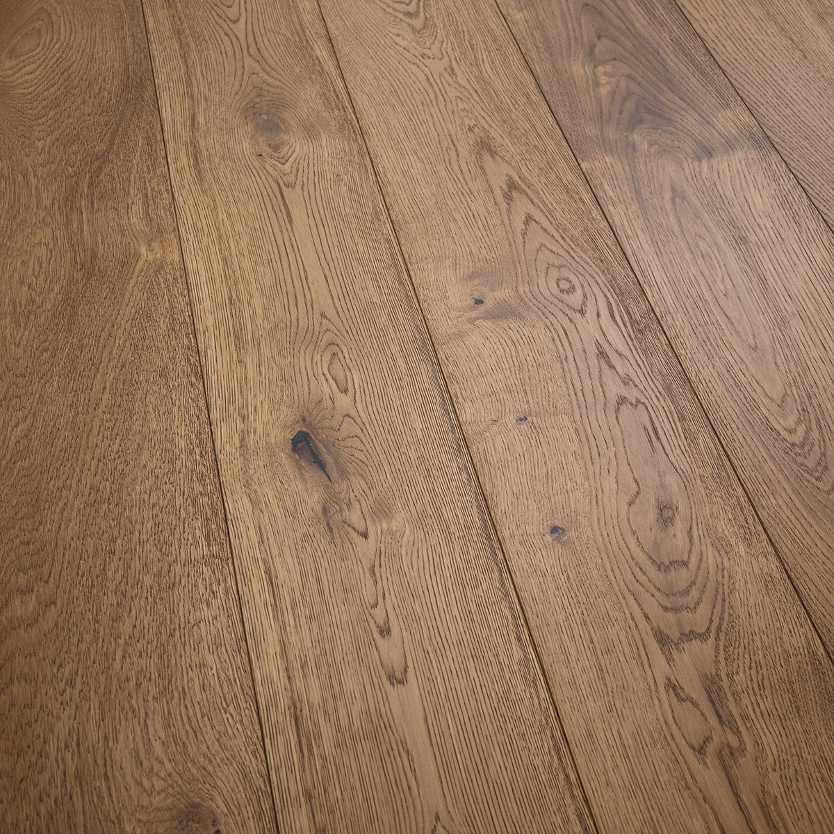 V4 HG111 Toridan from The Floor Collection
