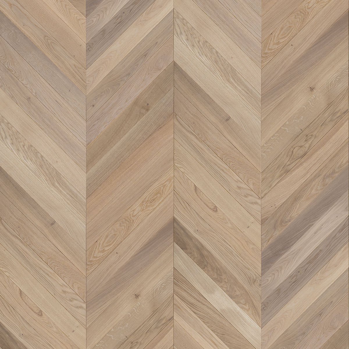 V4 CV104 Seashell Chevron from The Floor Collection