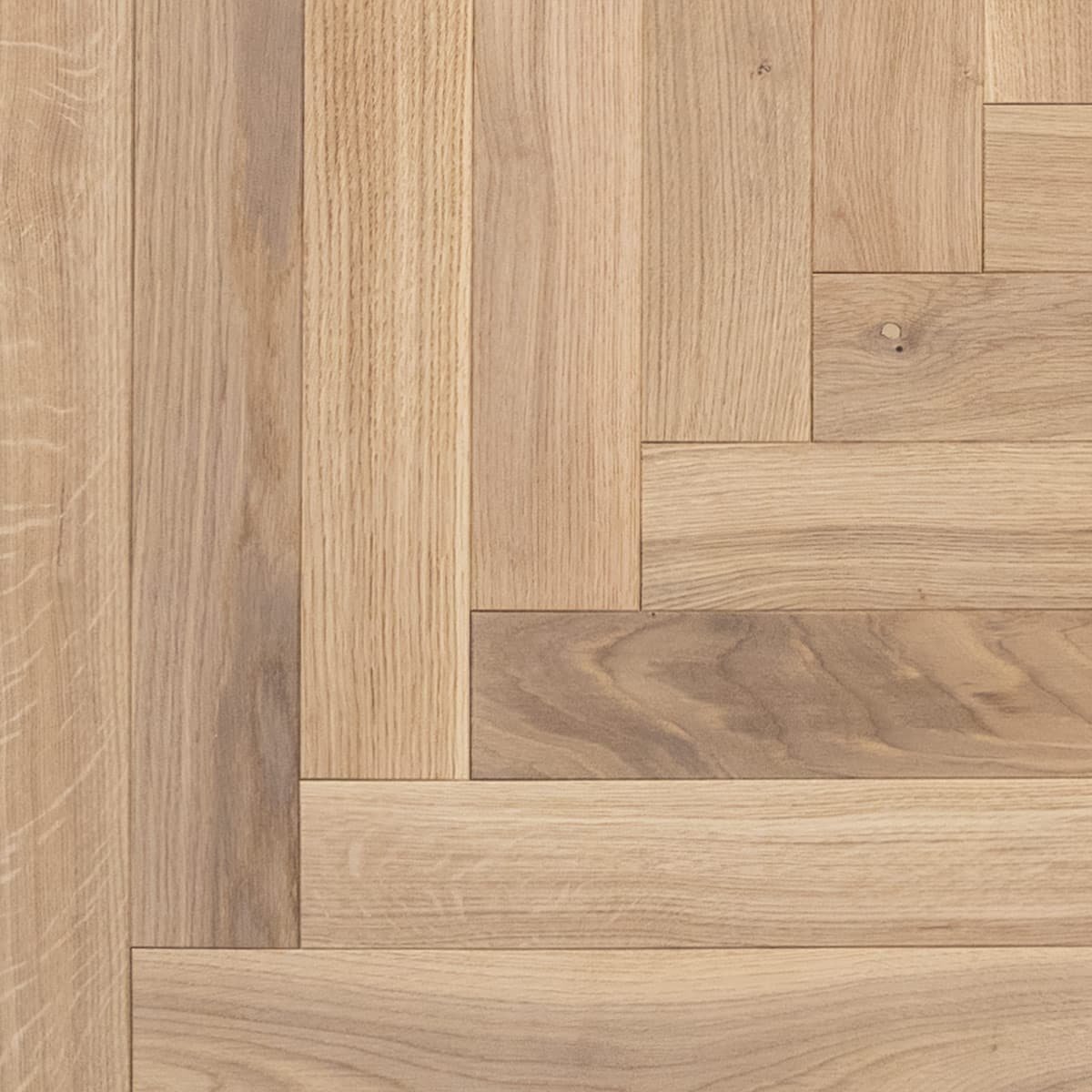 V4 TH109 Seashell Strip Herringbone from The Floor Collection