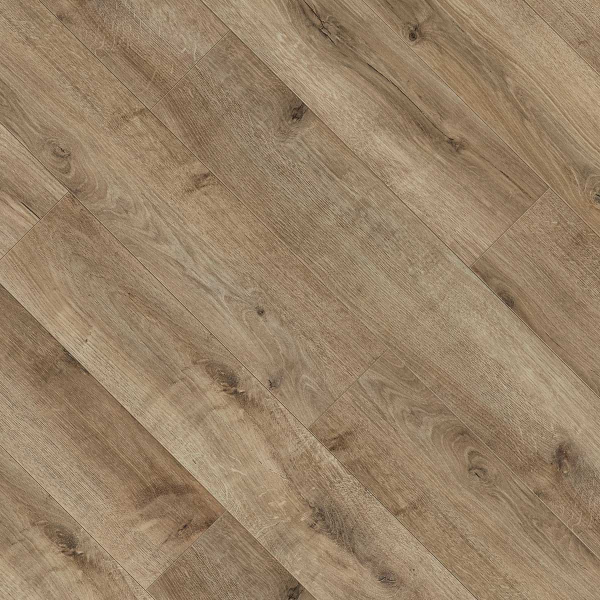 V4 NE24 Wheaten Tan Oak Laminate | Available to purchase from The Floor Collection