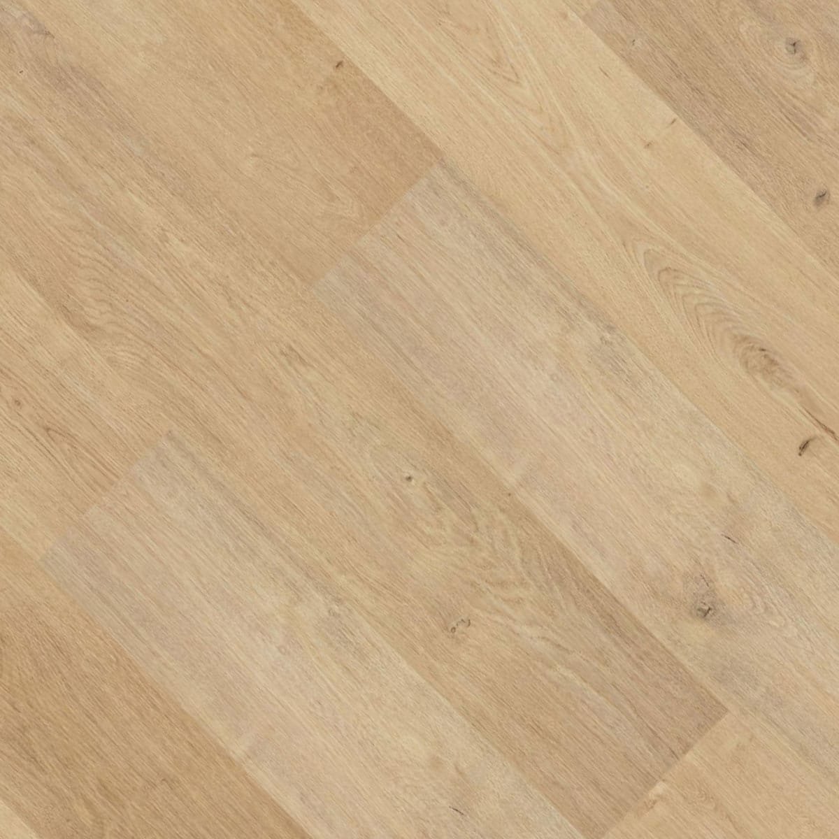 V4 NAL53 Indian Summer Oak Laminate | Available to purchase from The Floor Collection