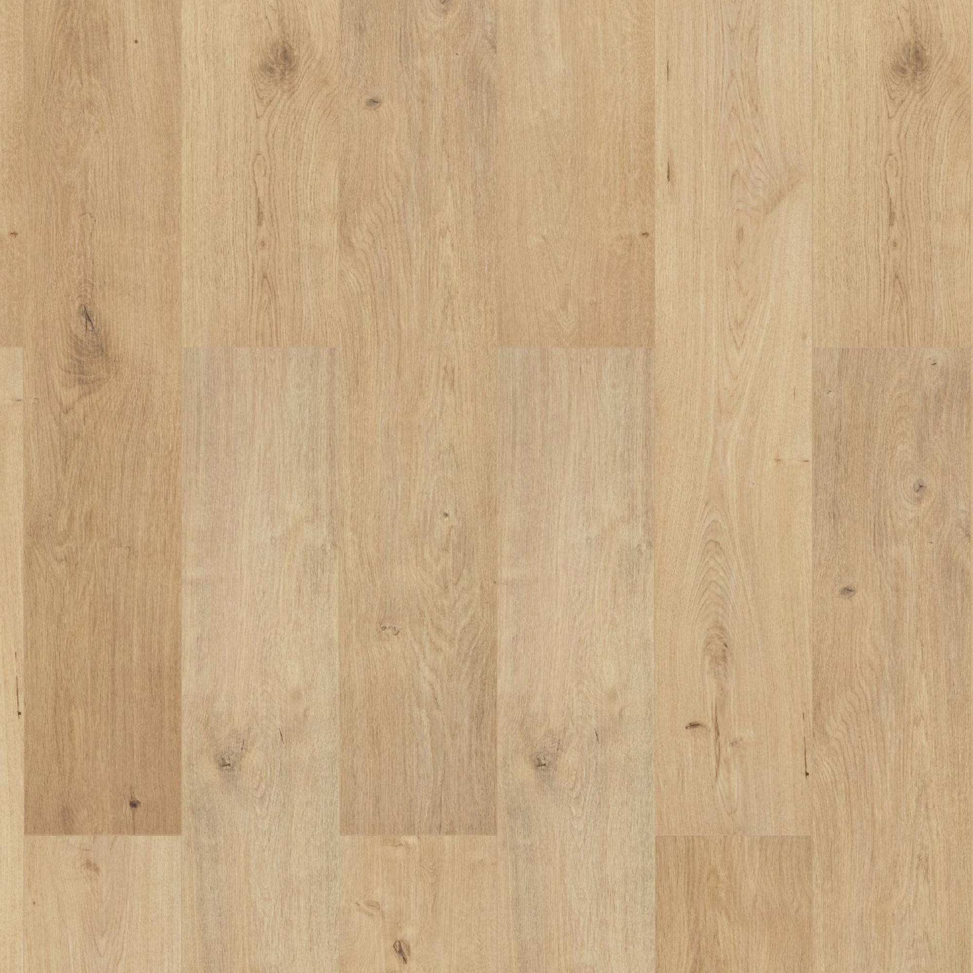 V4 NAL53 Indian Summer Oak Laminate | Available to purchase from The Floor Collection