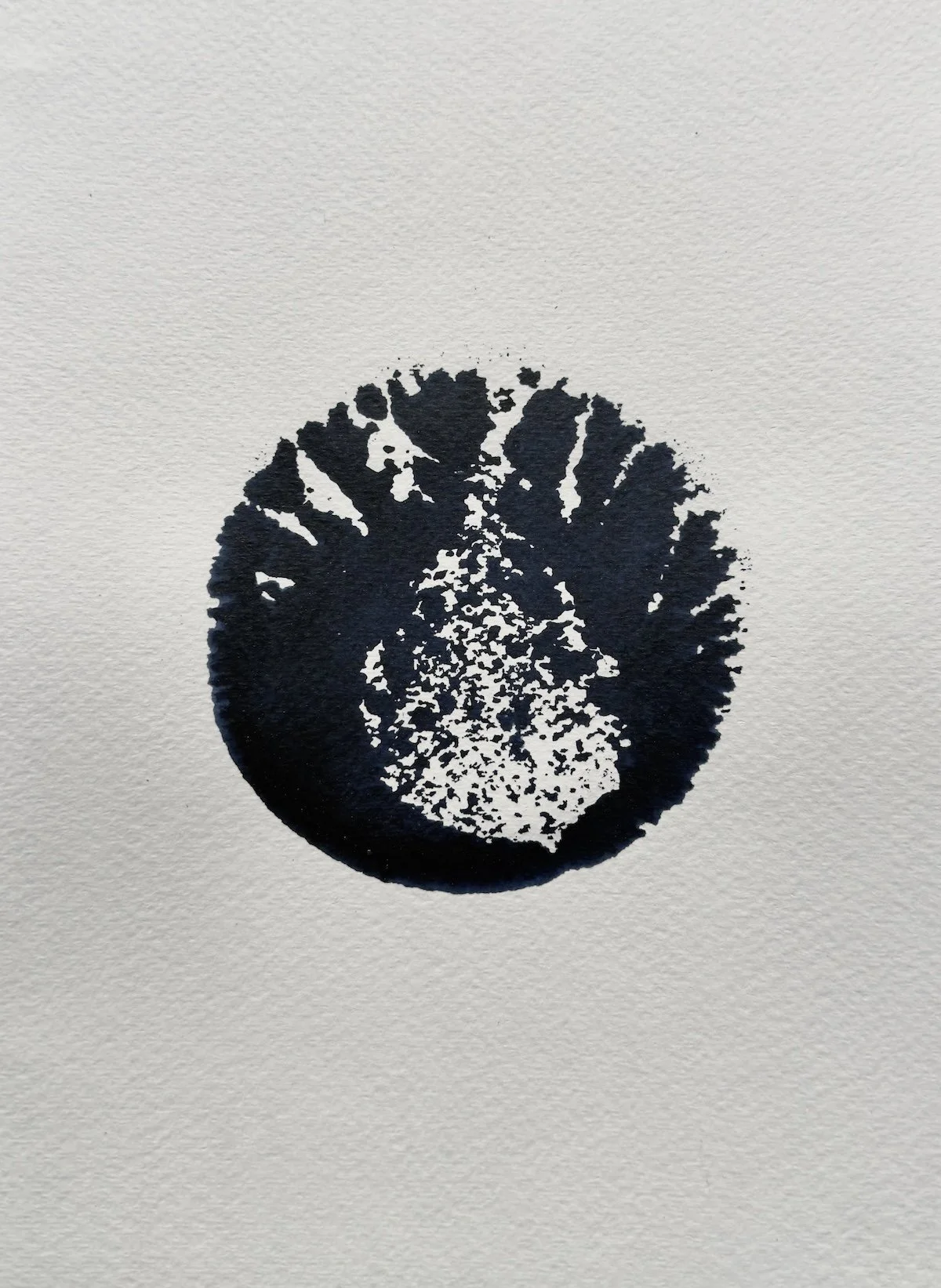Indigo Gravity Study 2