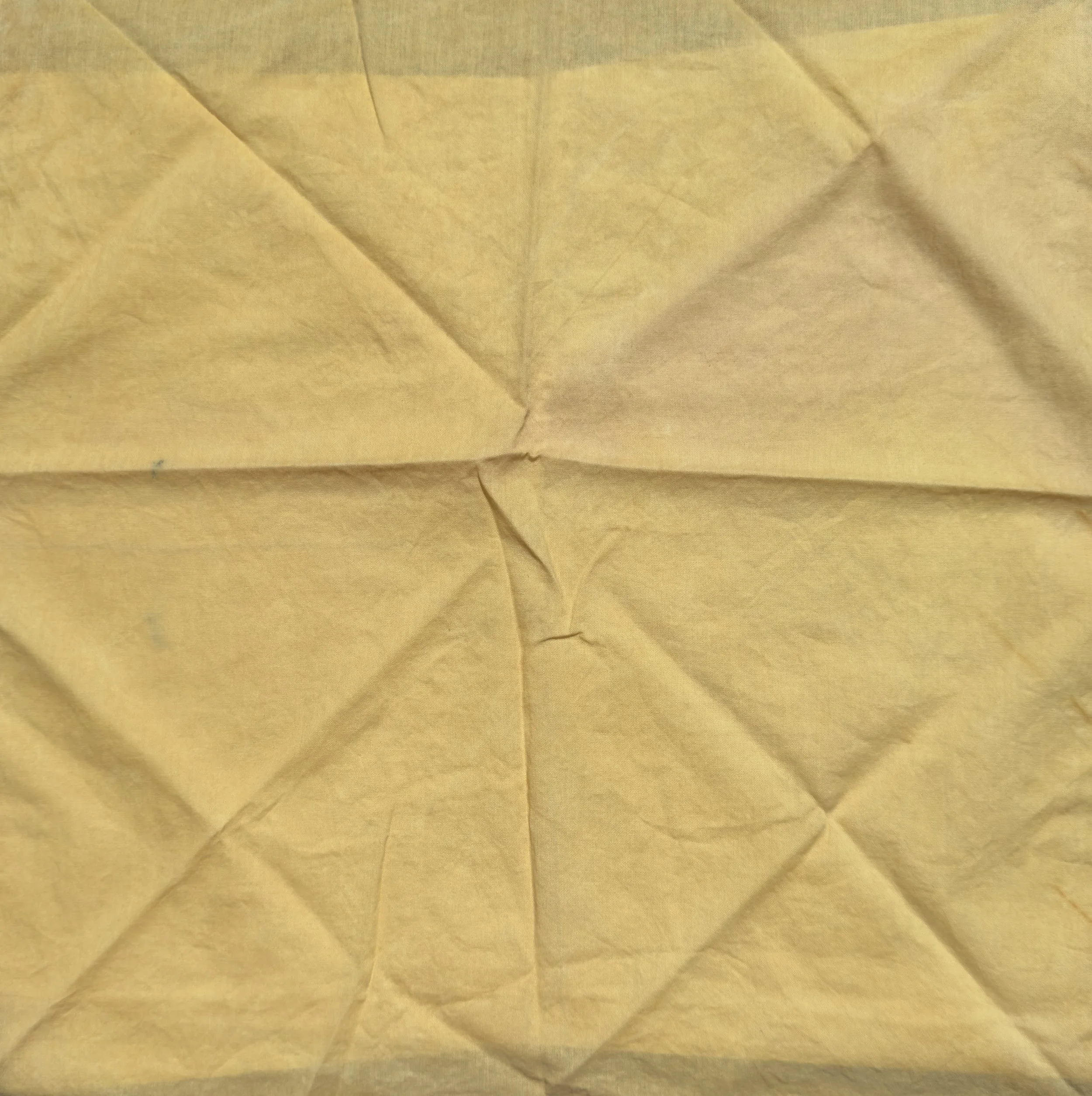 Osage Yellow: Natural Dyed Cotton Bandana