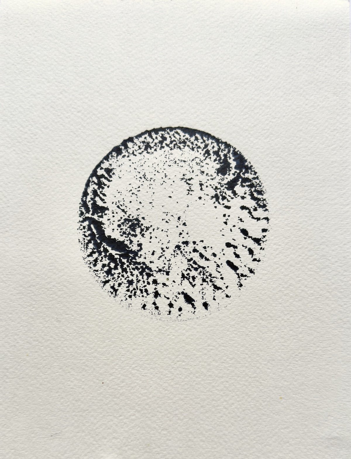 Indigo Gravity Study 1