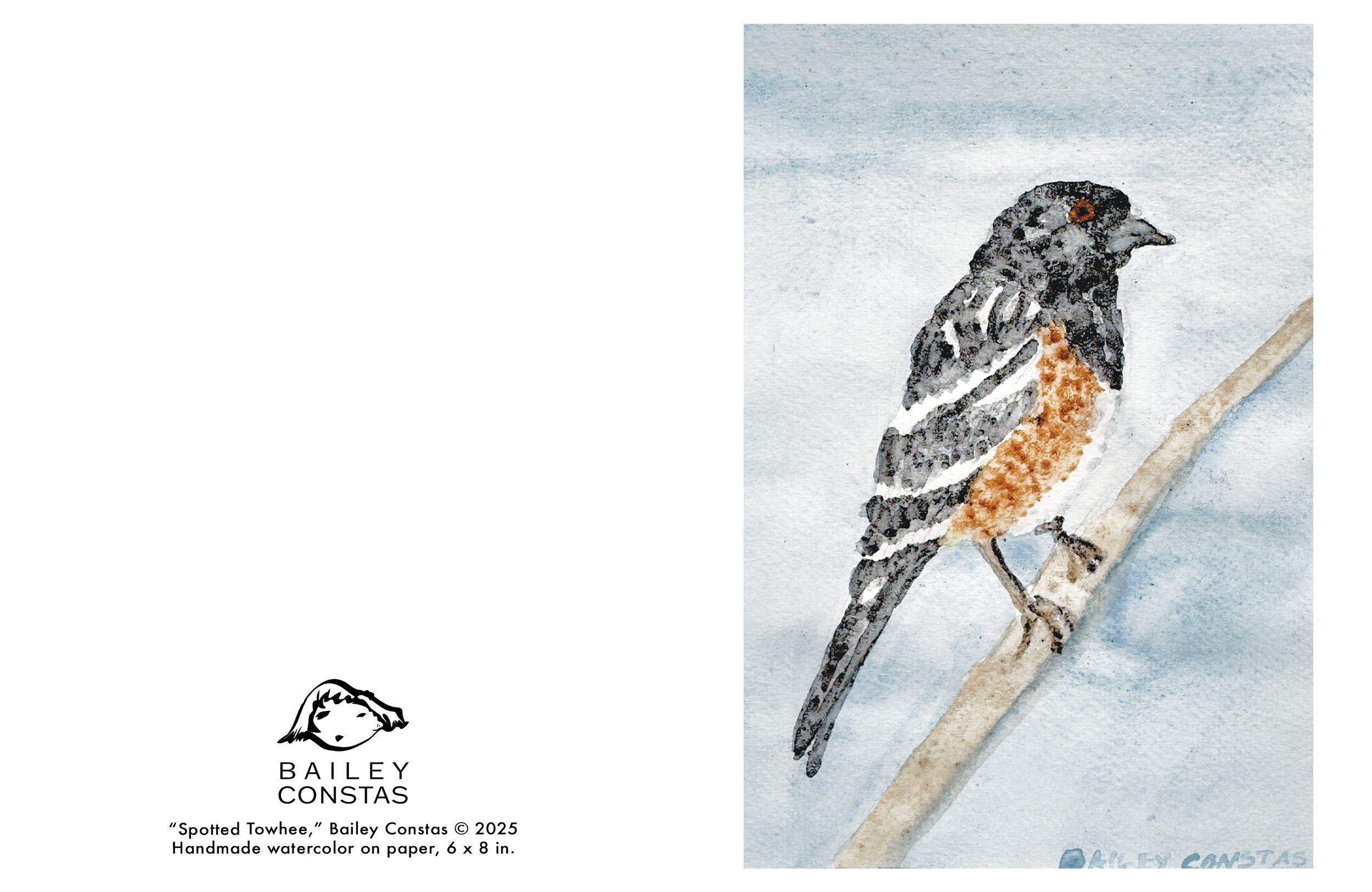SpottedTowhee_GreetingCard.png
