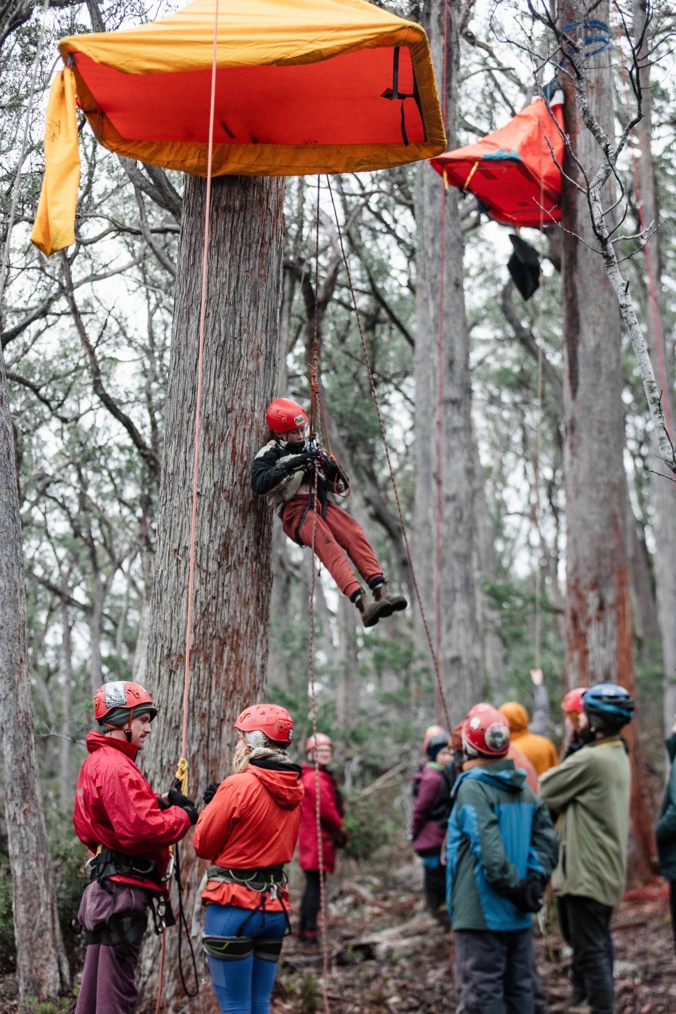 Camp Bob Brown Foundation