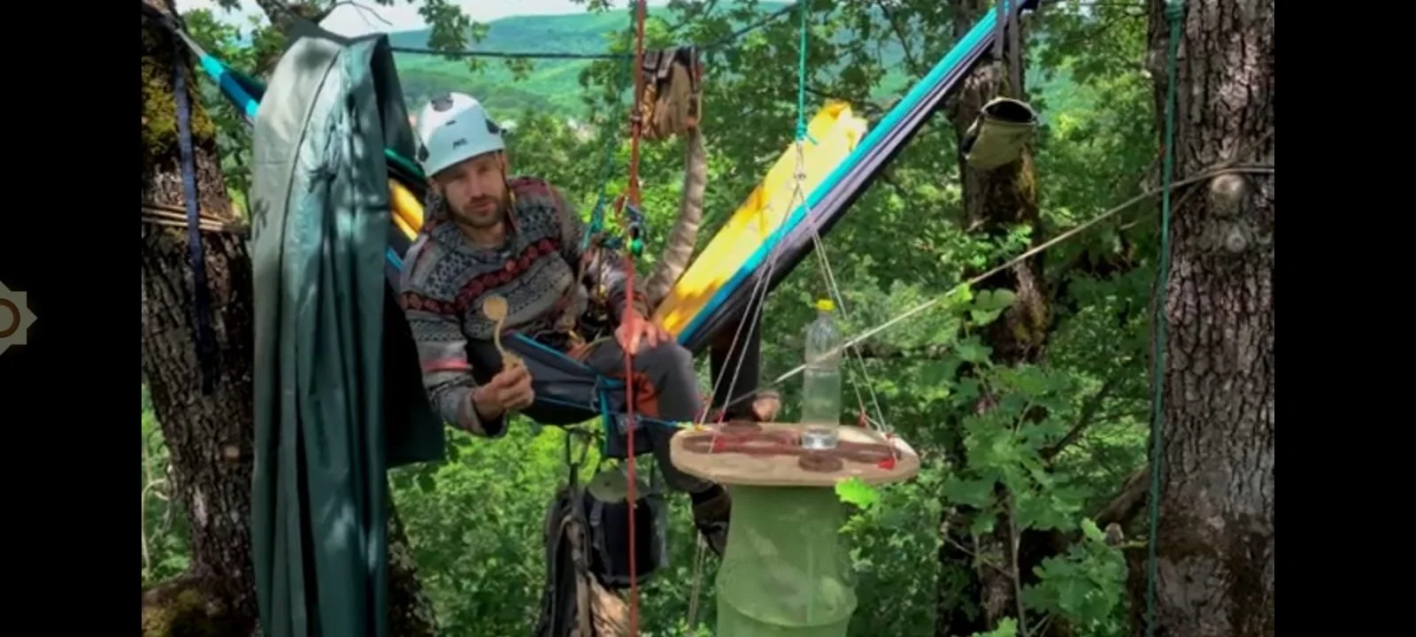 travelling tree spoon.jpg