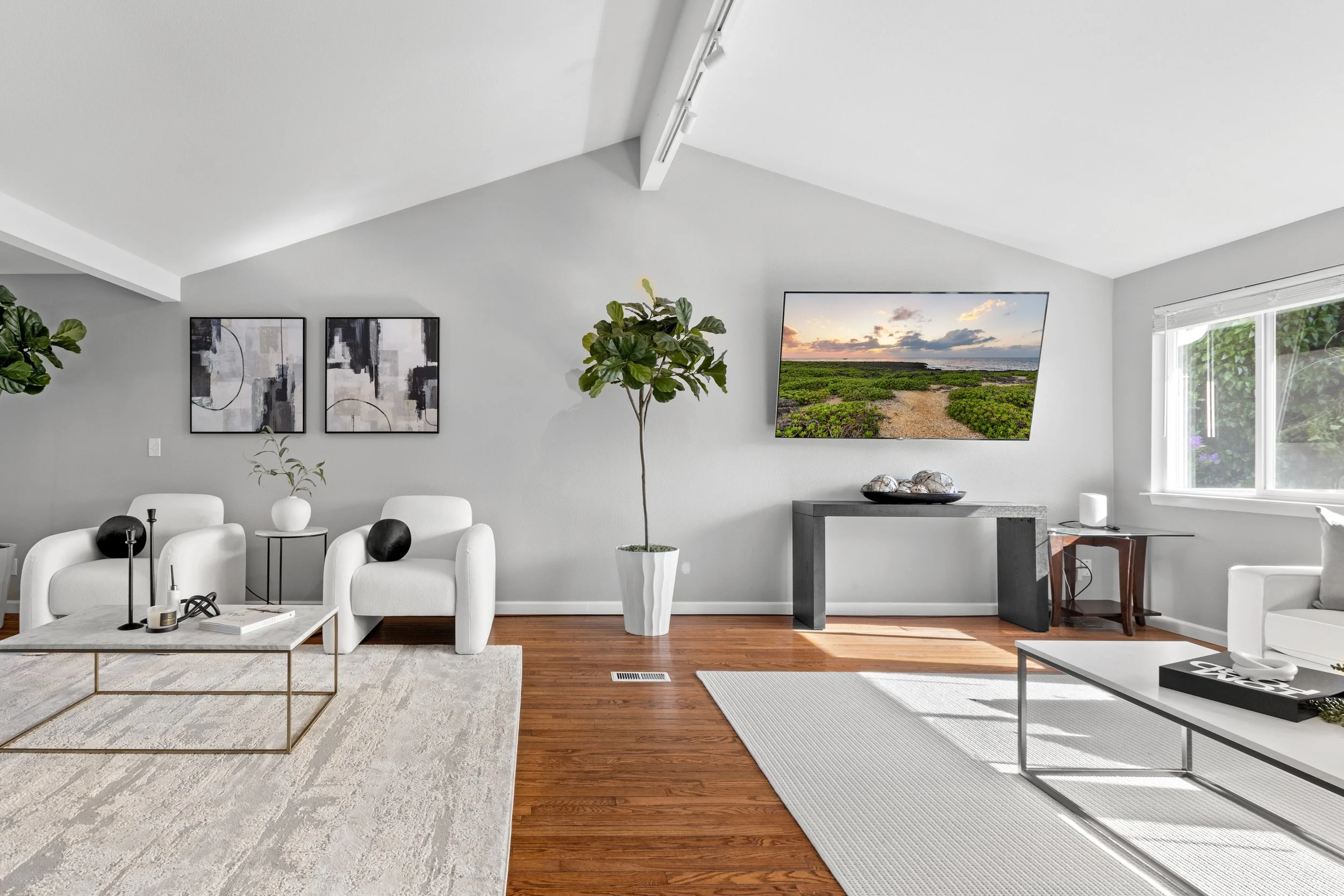 Modern living room with white walls, hardwood floors, a gray rug, white armchairs, a white coffee table, black and white art on the wall, a large potted plant, a flat-screen TV, and a window with greenery outside.