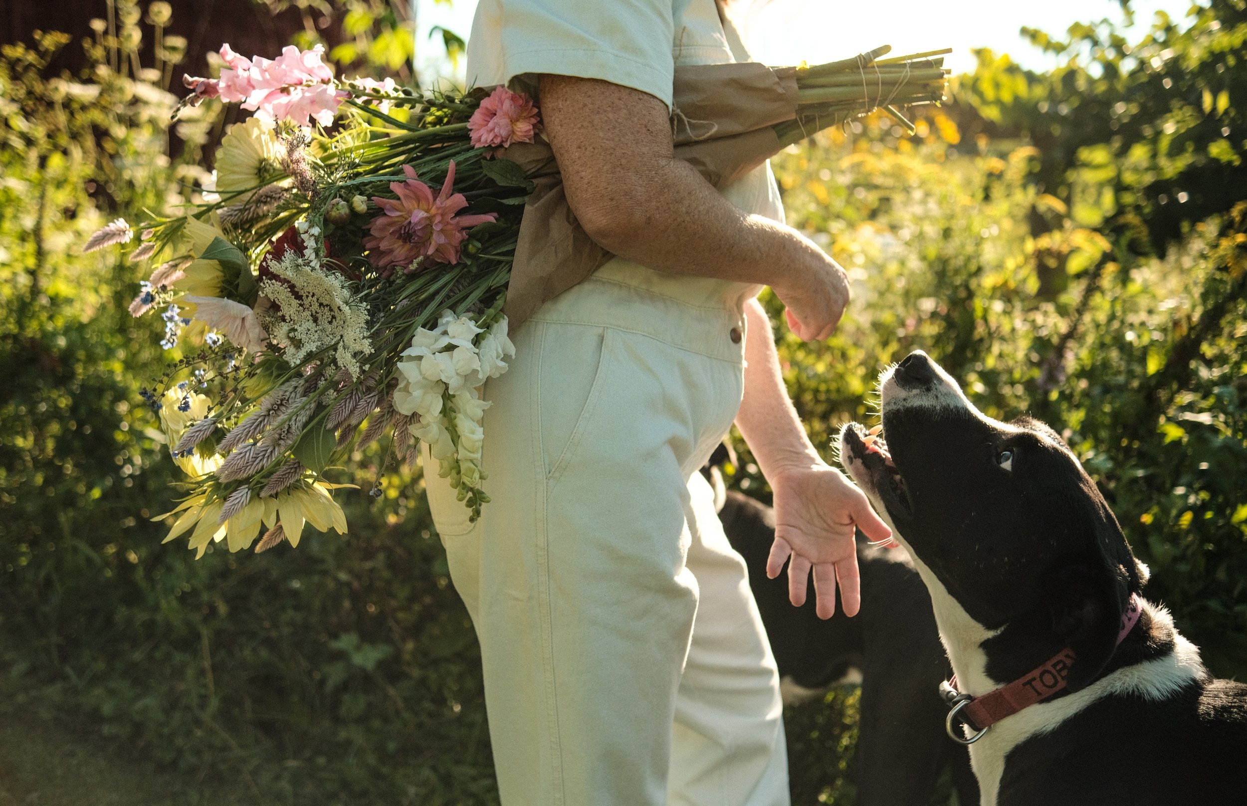 Love, Actually: The Truth About Valentine’s Day and the Widowed Christian