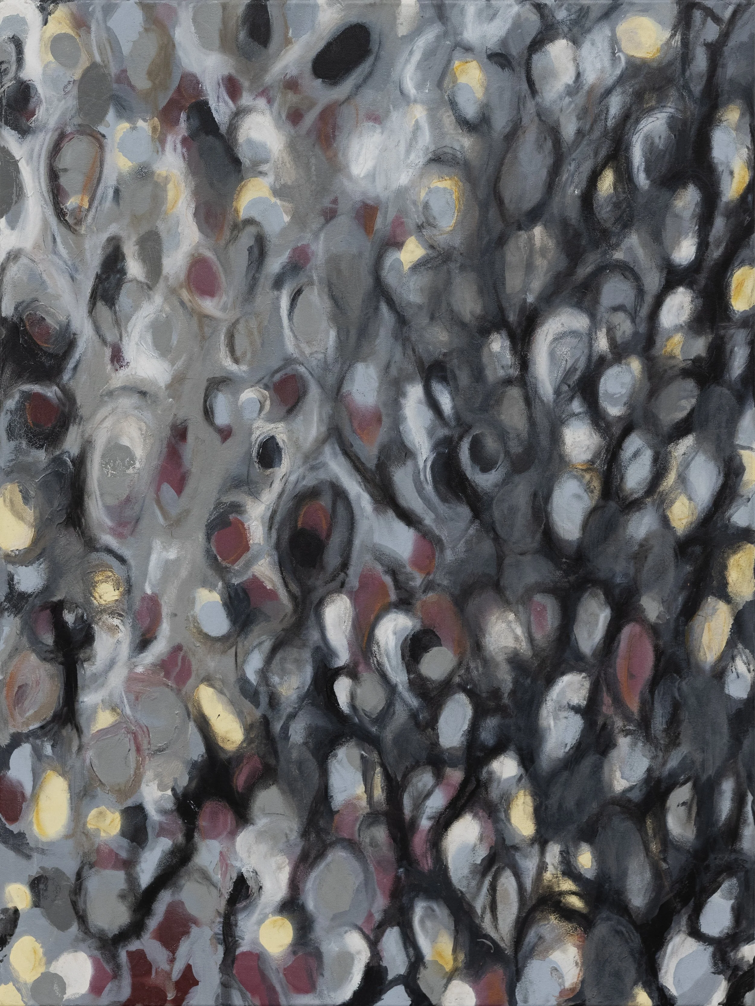 Signals Series - 2025